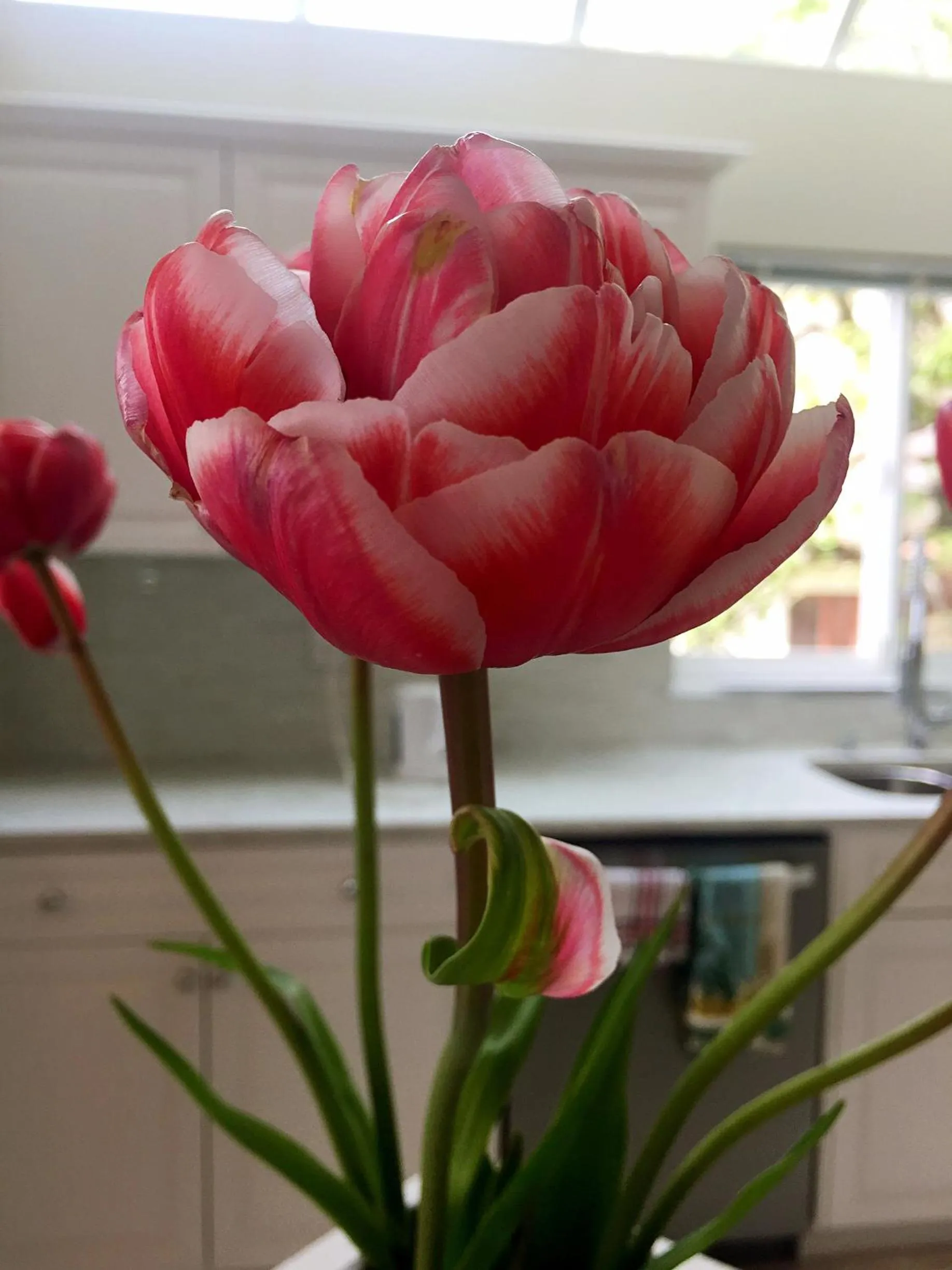 Decorative detail in Star of the Sea guest house