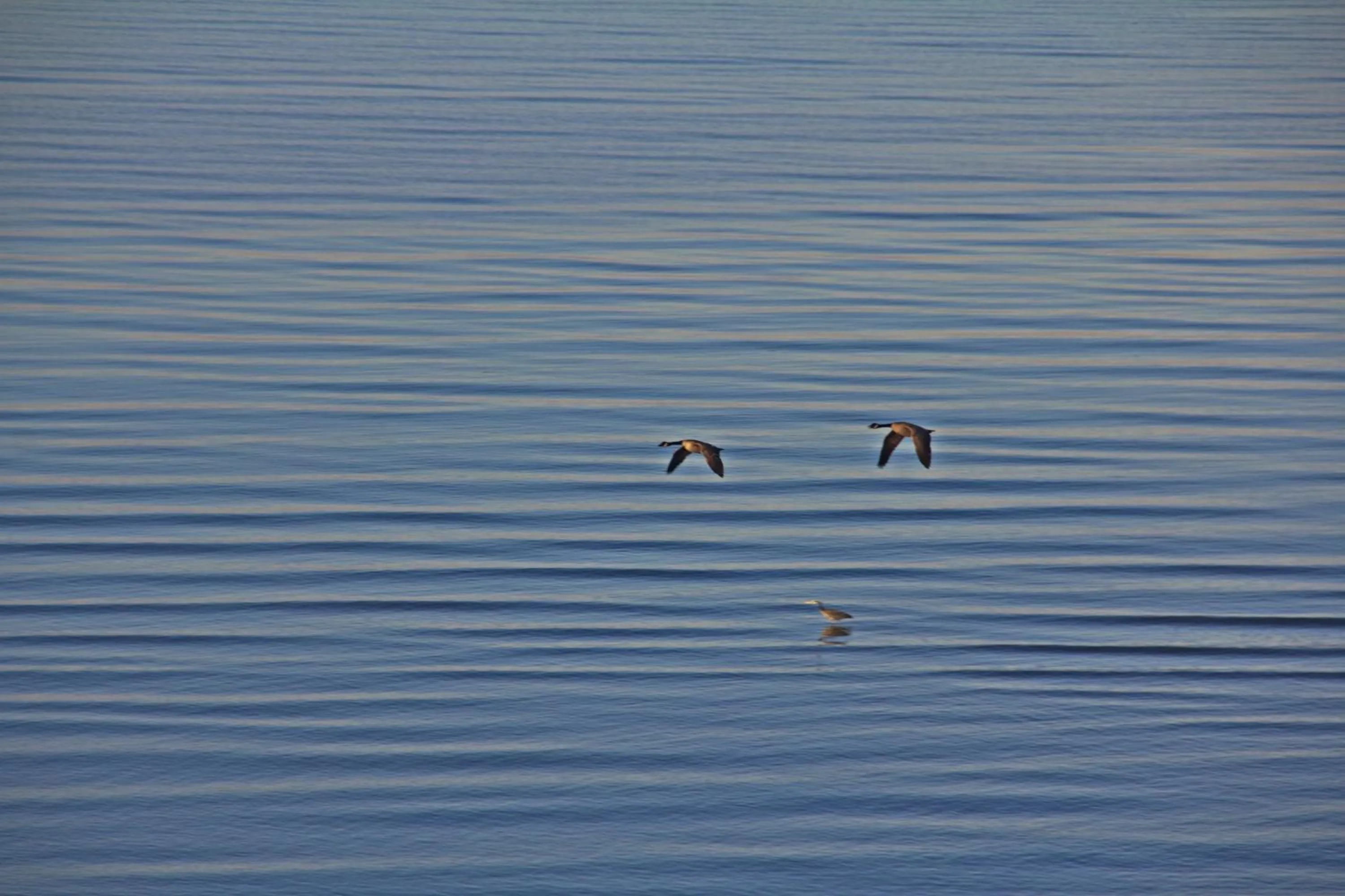 Natural landscape in Star of the Sea guest house