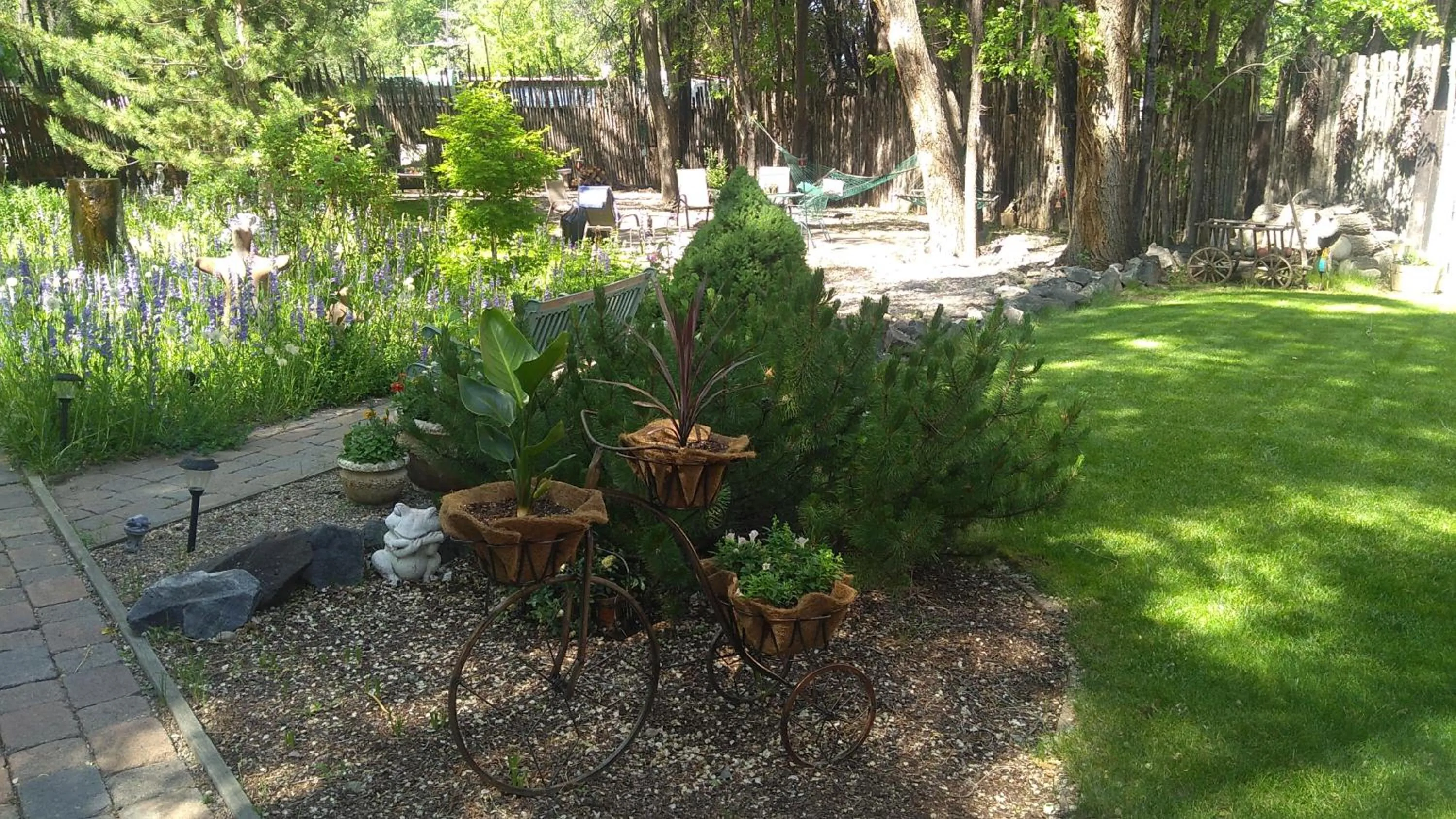 Garden in Dreamcatcher B&B