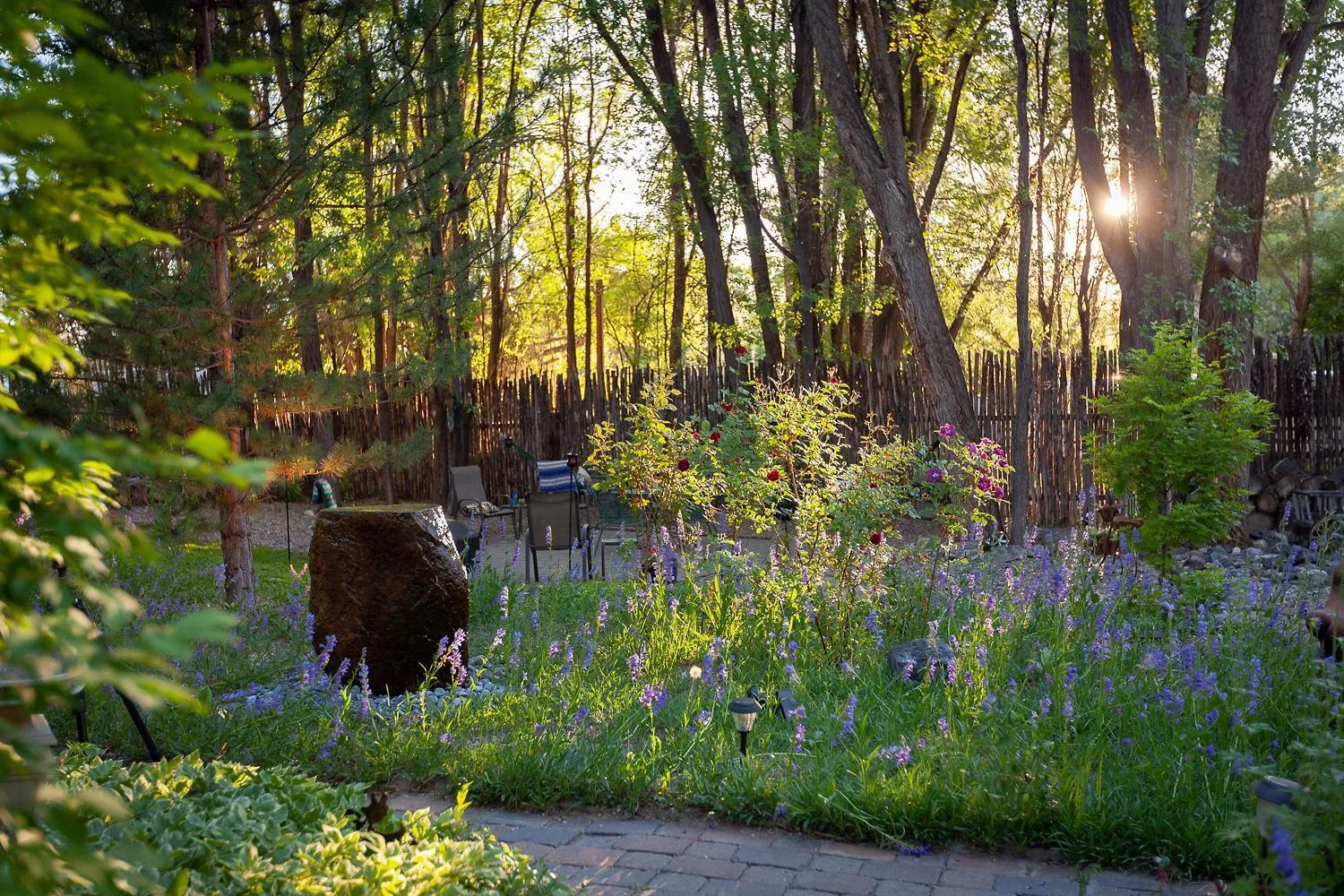 Natural landscape in Dreamcatcher B&B