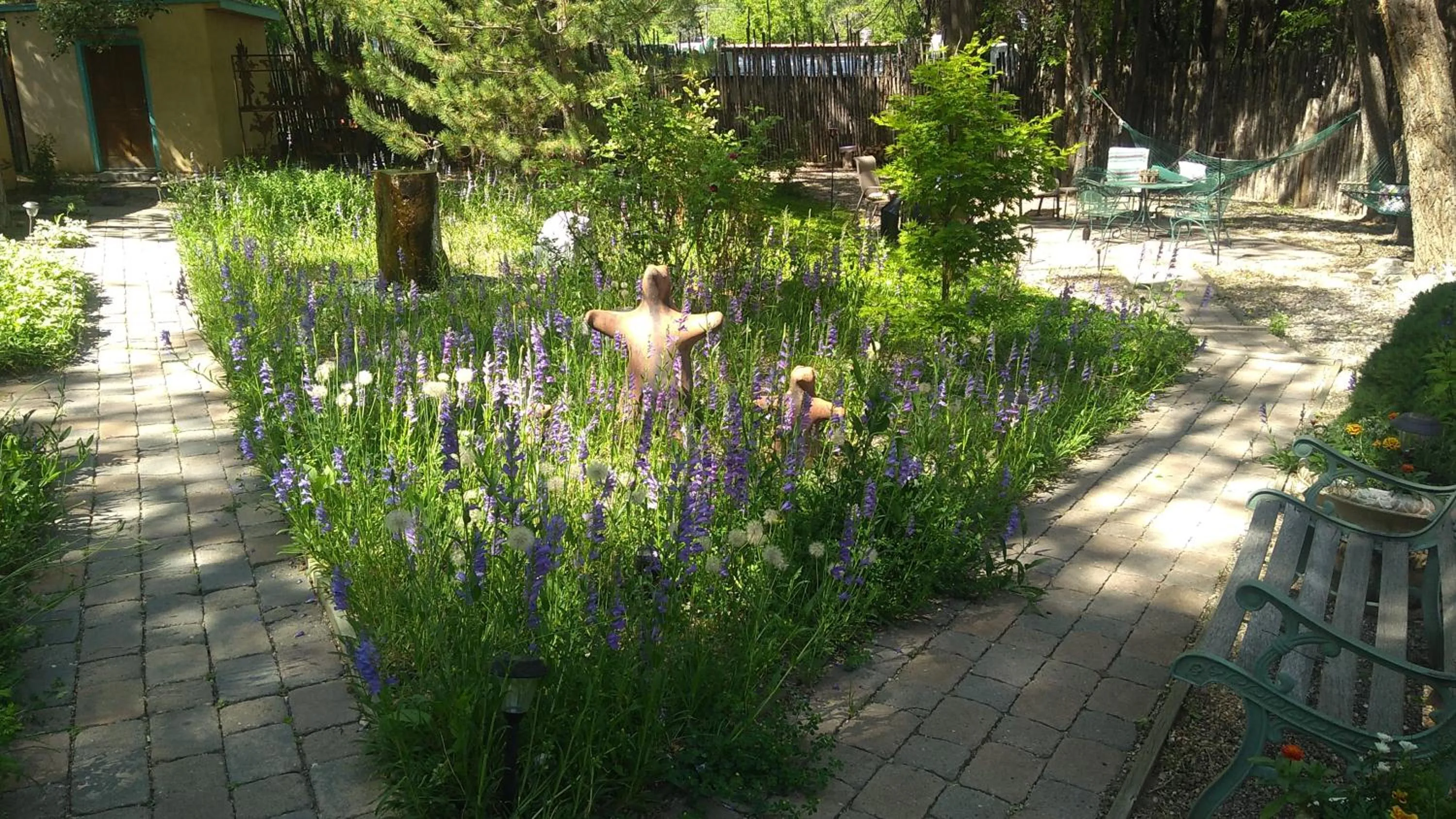 Garden in Dreamcatcher B&B