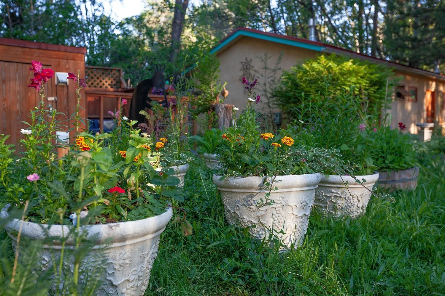 Property building in Dreamcatcher B&B