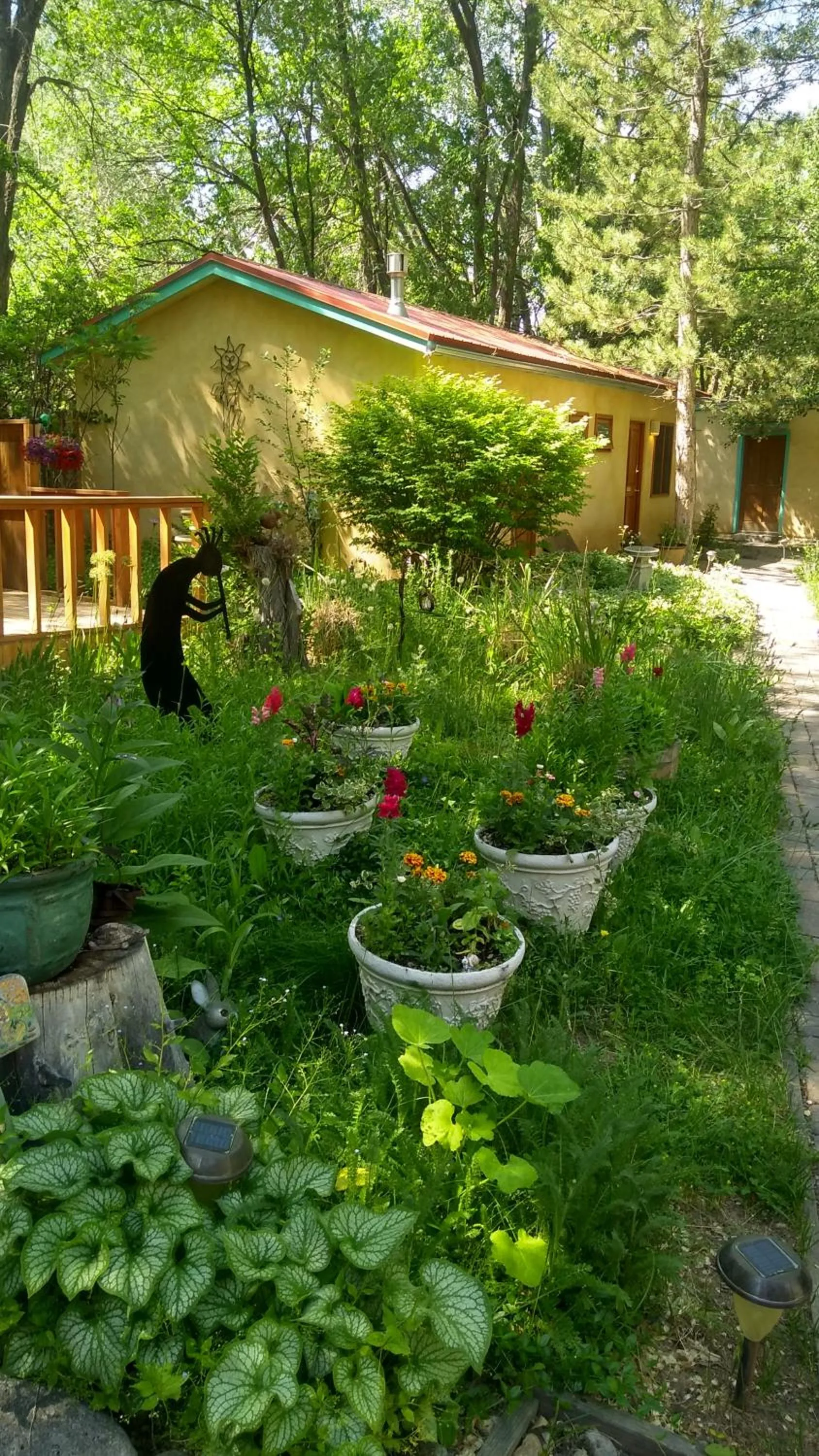 Garden in Dreamcatcher B&B