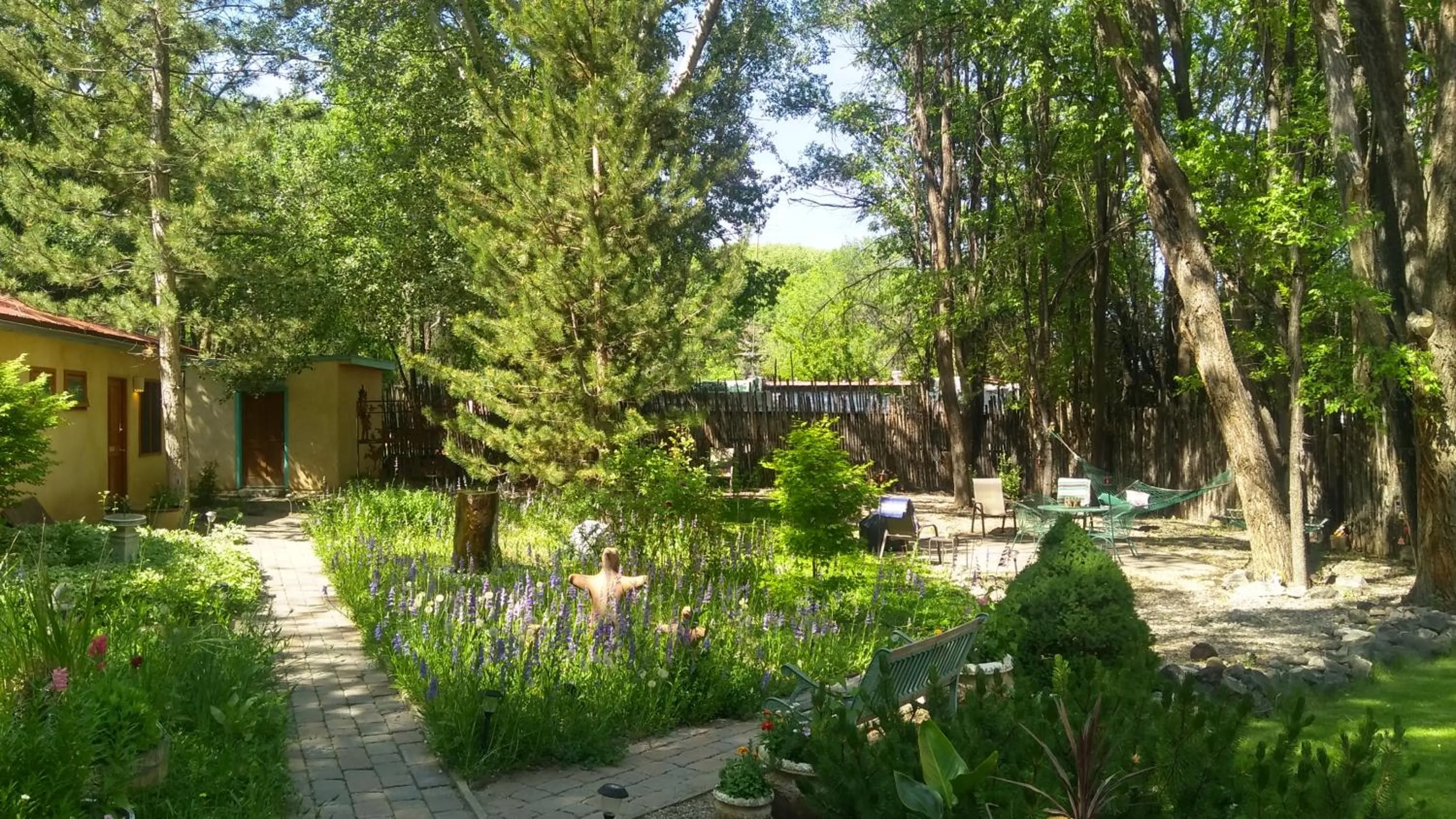 Garden in Dreamcatcher B&B