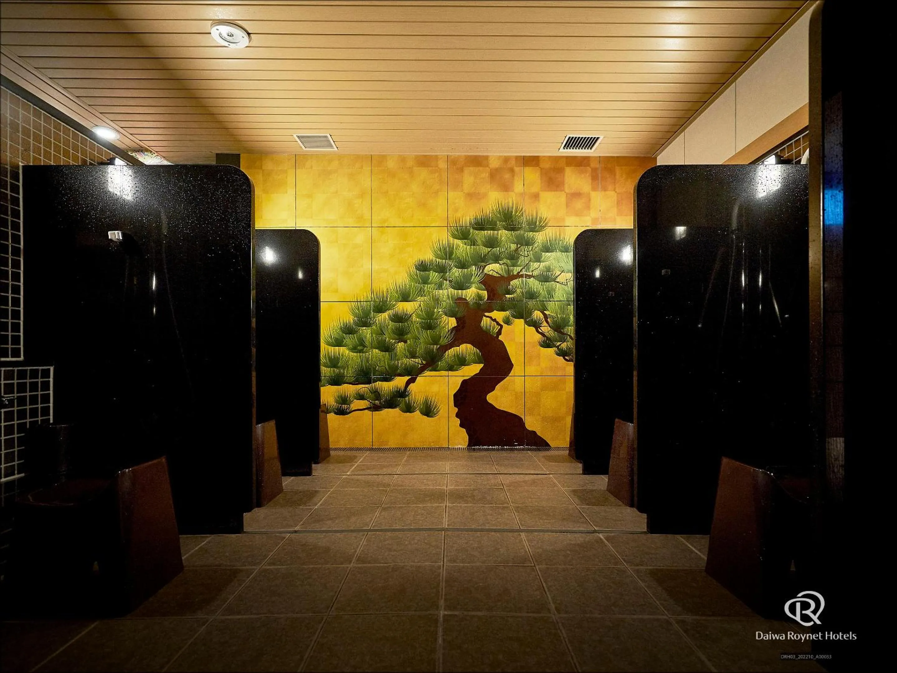 Public Bath in Daiwa Roynet Hotel KANAZAWA-MIYABI