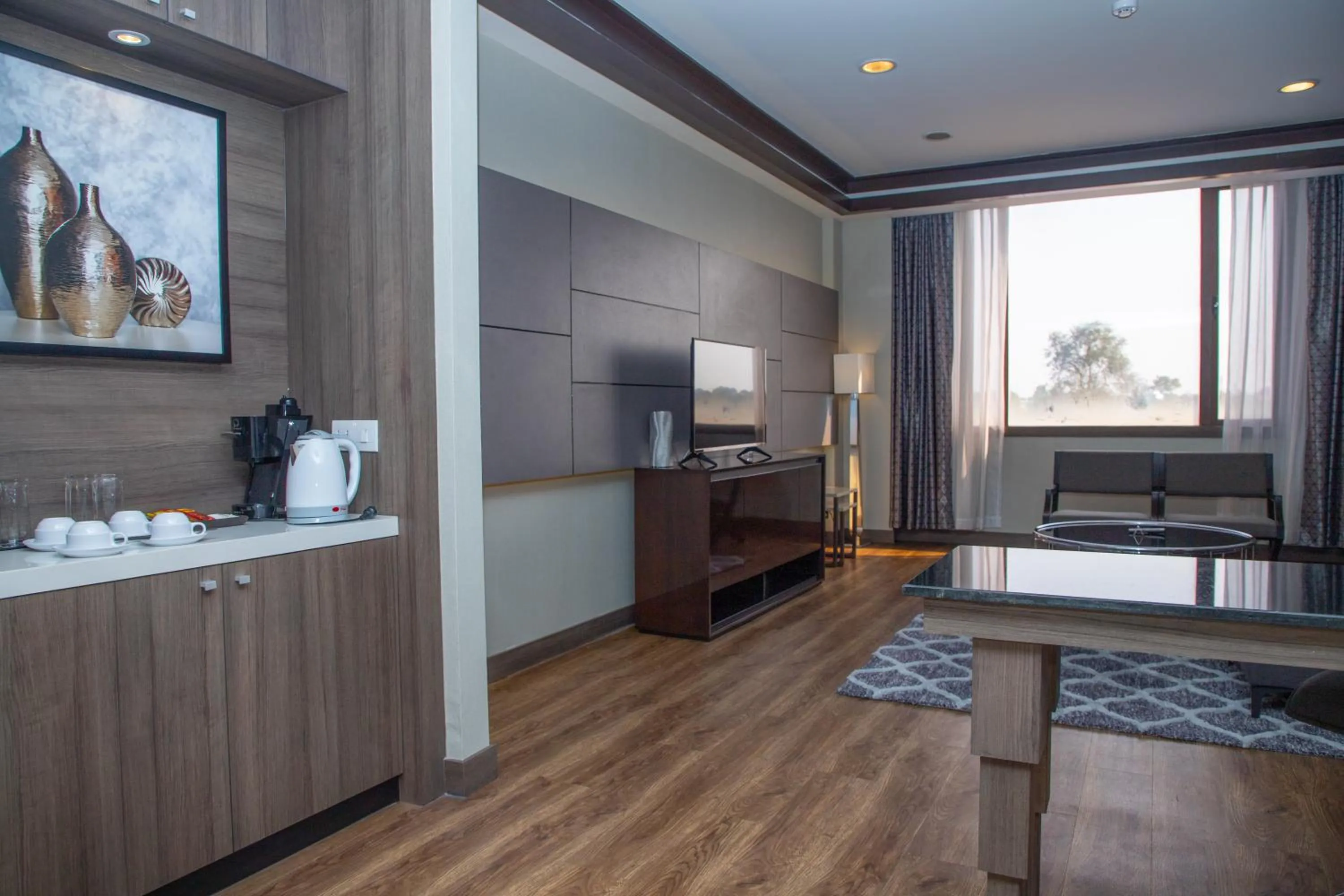 TV and multimedia in Savan Resorts