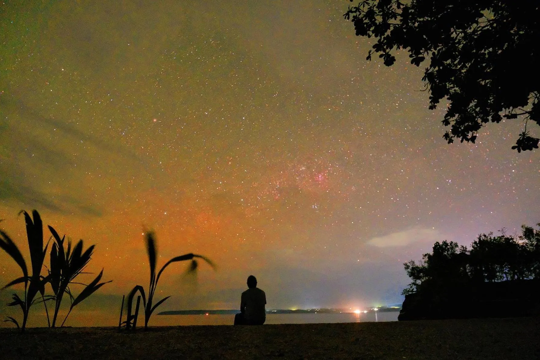 Night in Jelly Sea Resort