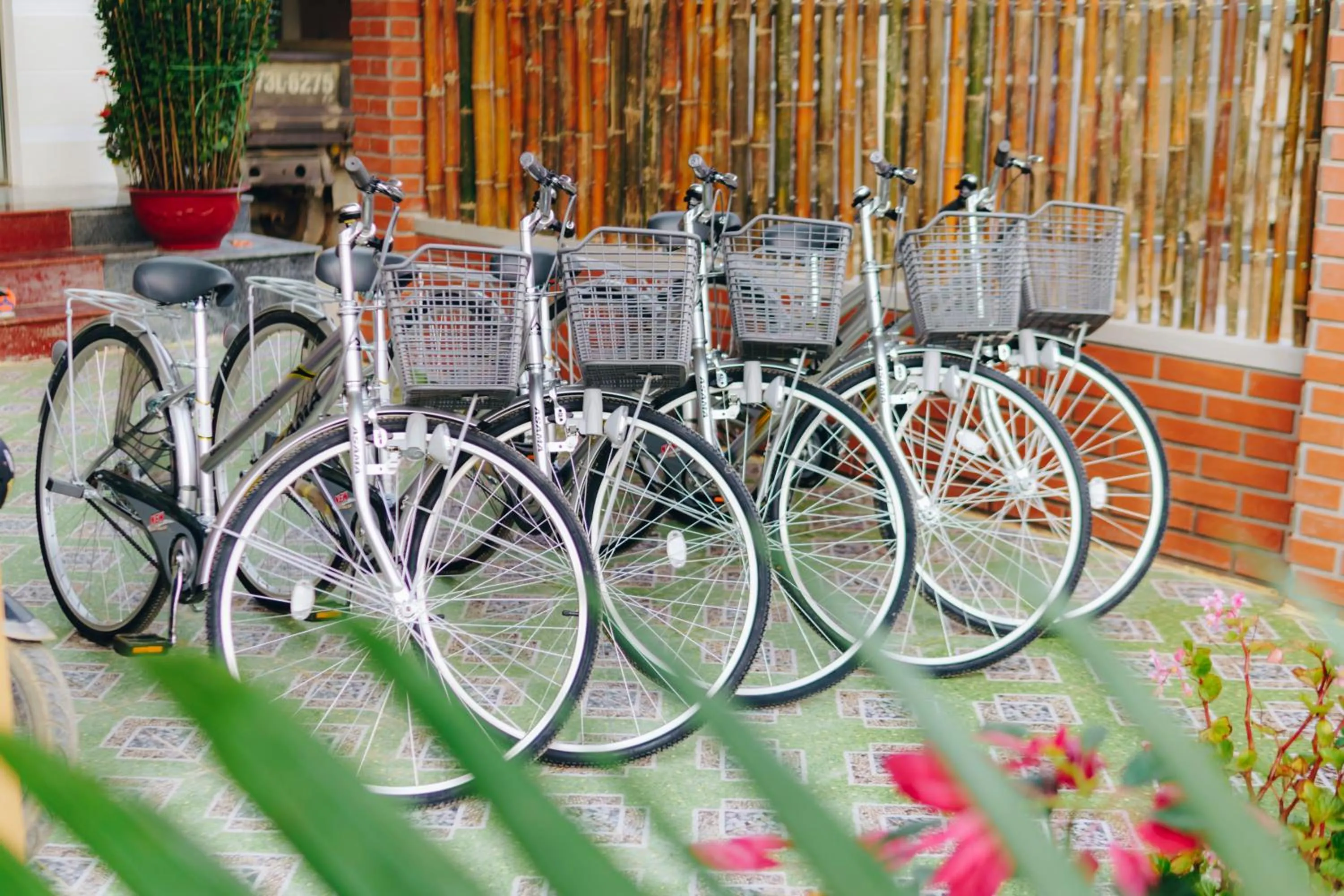 Activities in Phong Nha Love Homestay