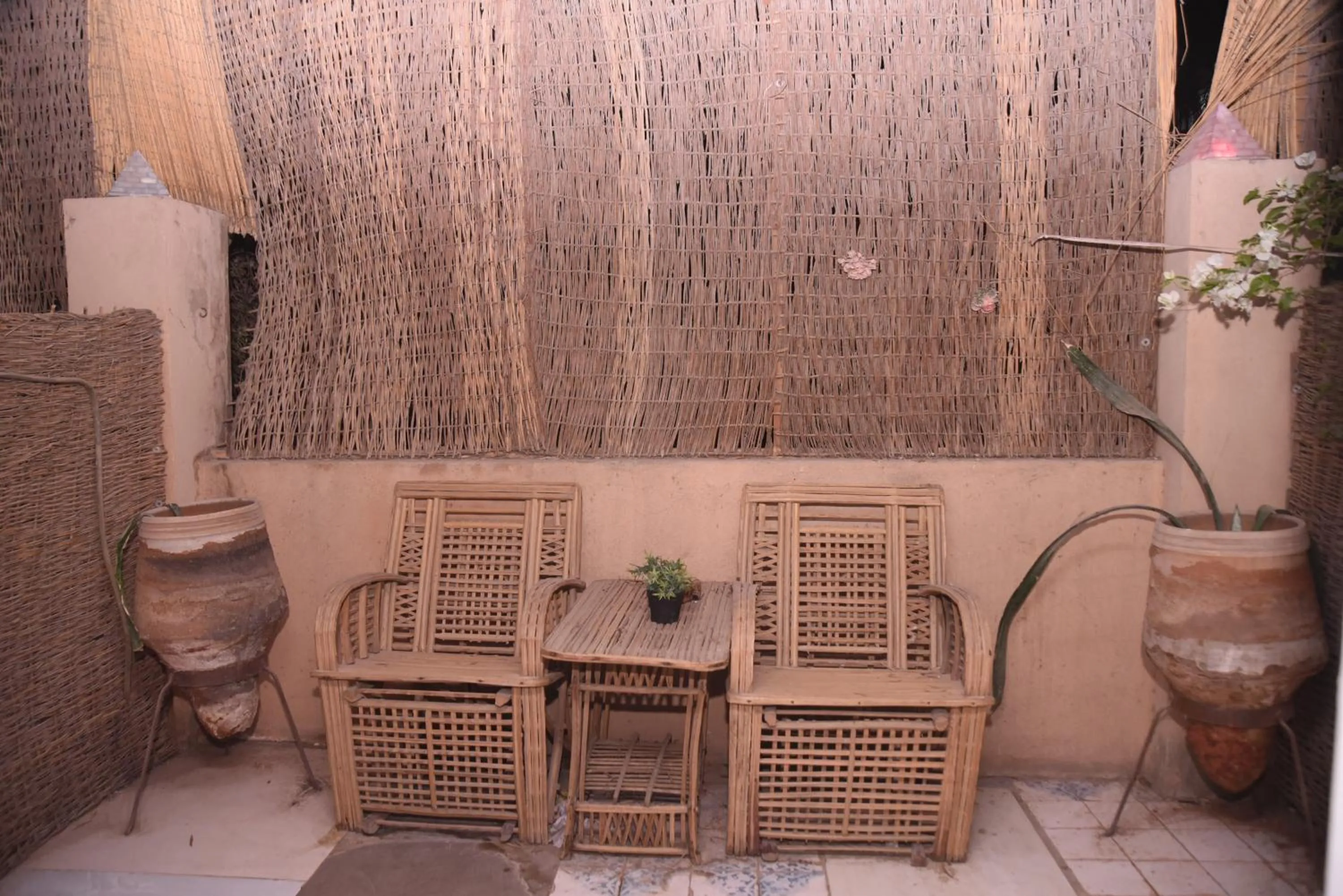 Patio in Arabian Nights Pyramids Guesthouse