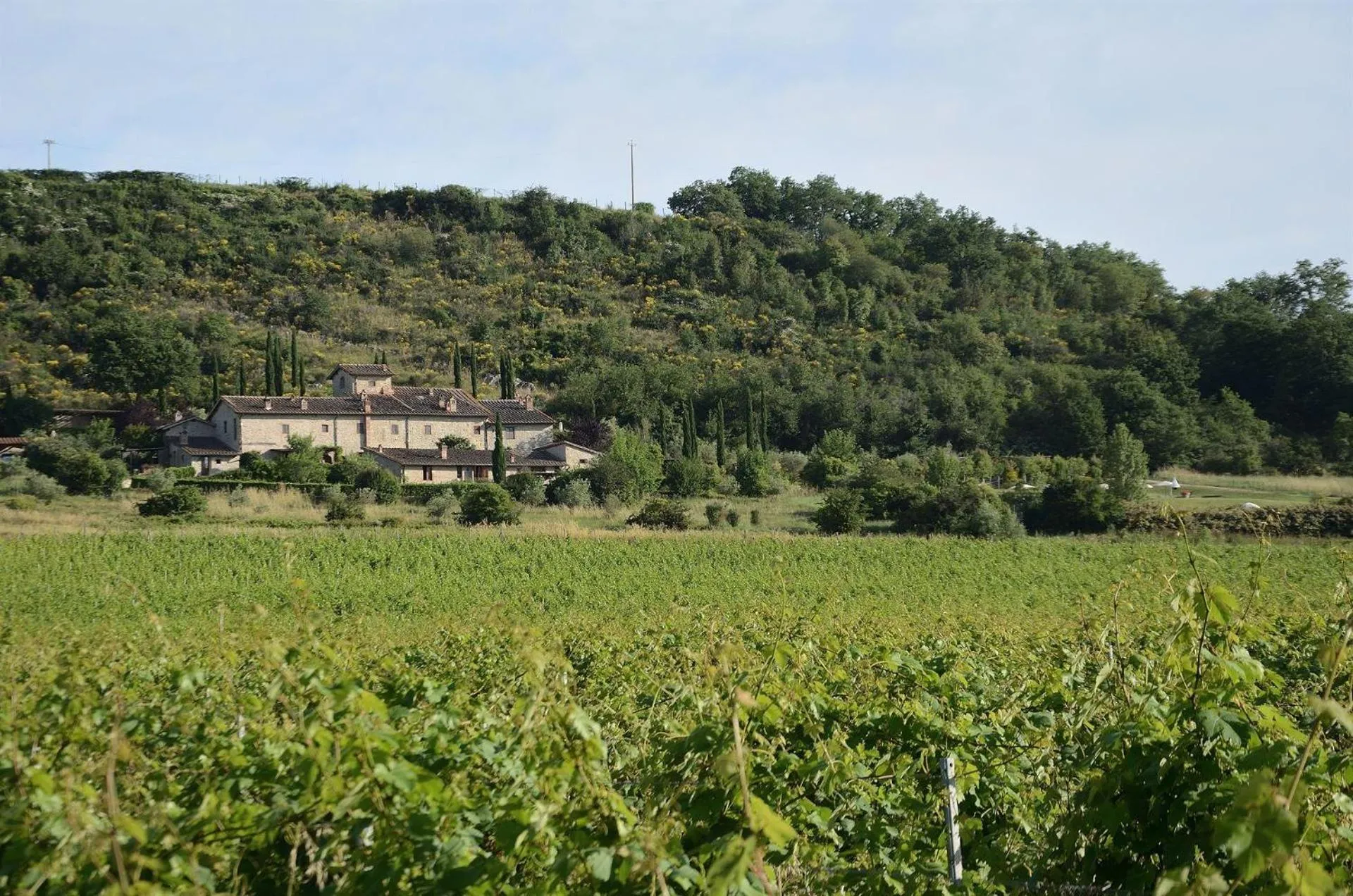 Casa Zaccardi