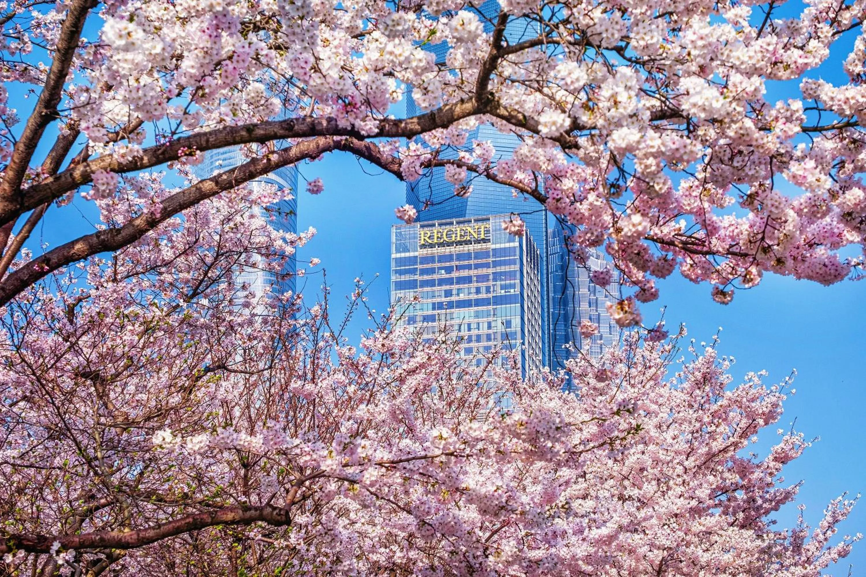 Regent Shanghai Pudong