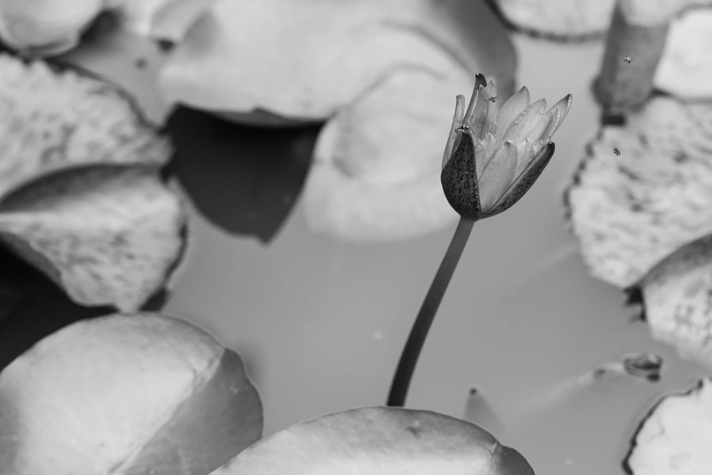 Baan Are Gong Riverside Homestay