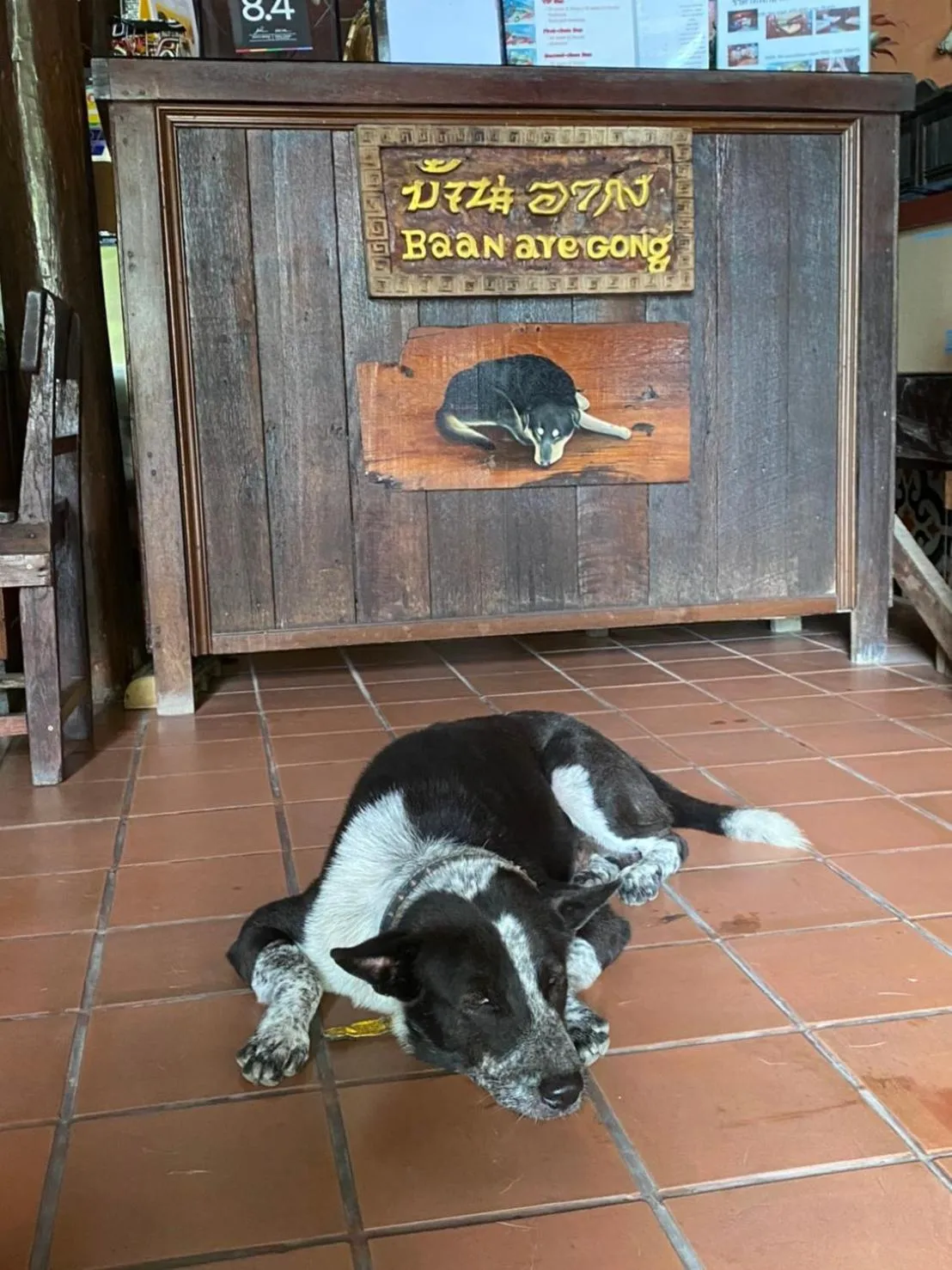Pets in Baan Are Gong Riverside Homestay