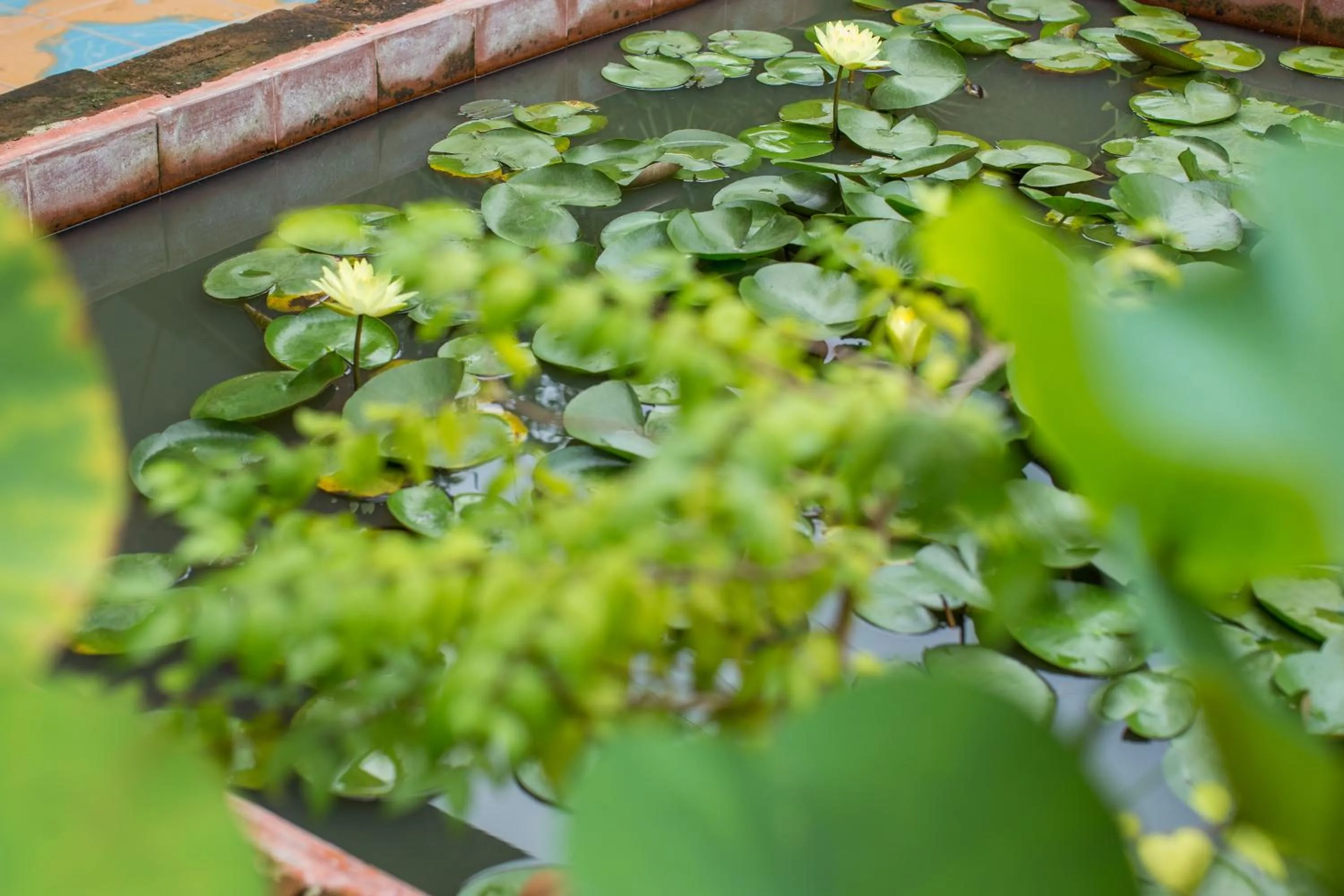 Baan Are Gong Riverside Homestay