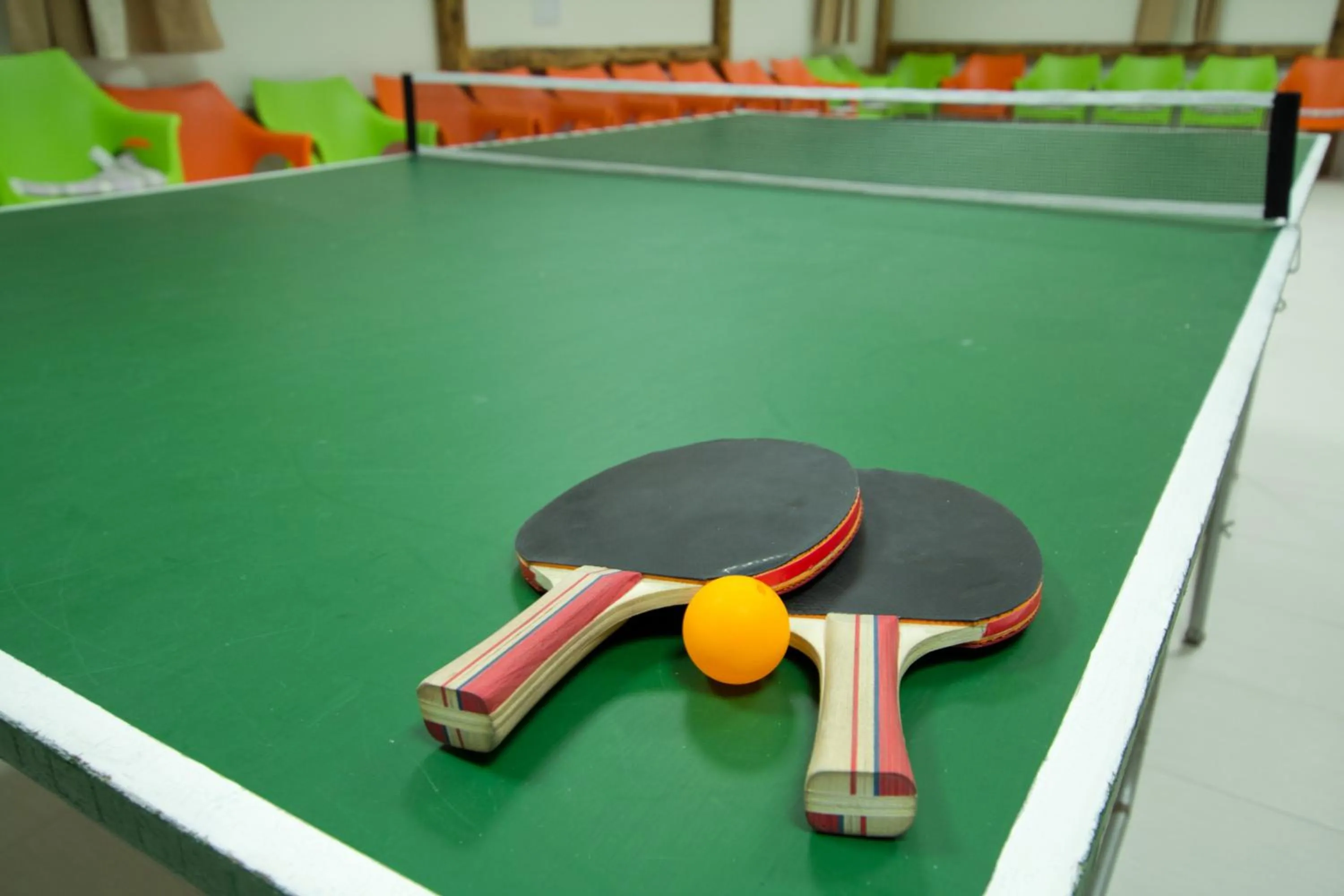 Activities in Apartmany Vila Vista