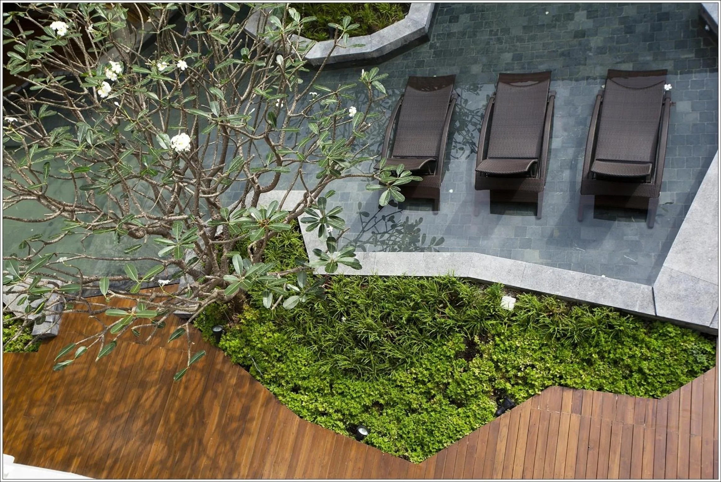 Garden in Hua Chang Heritage Hotel