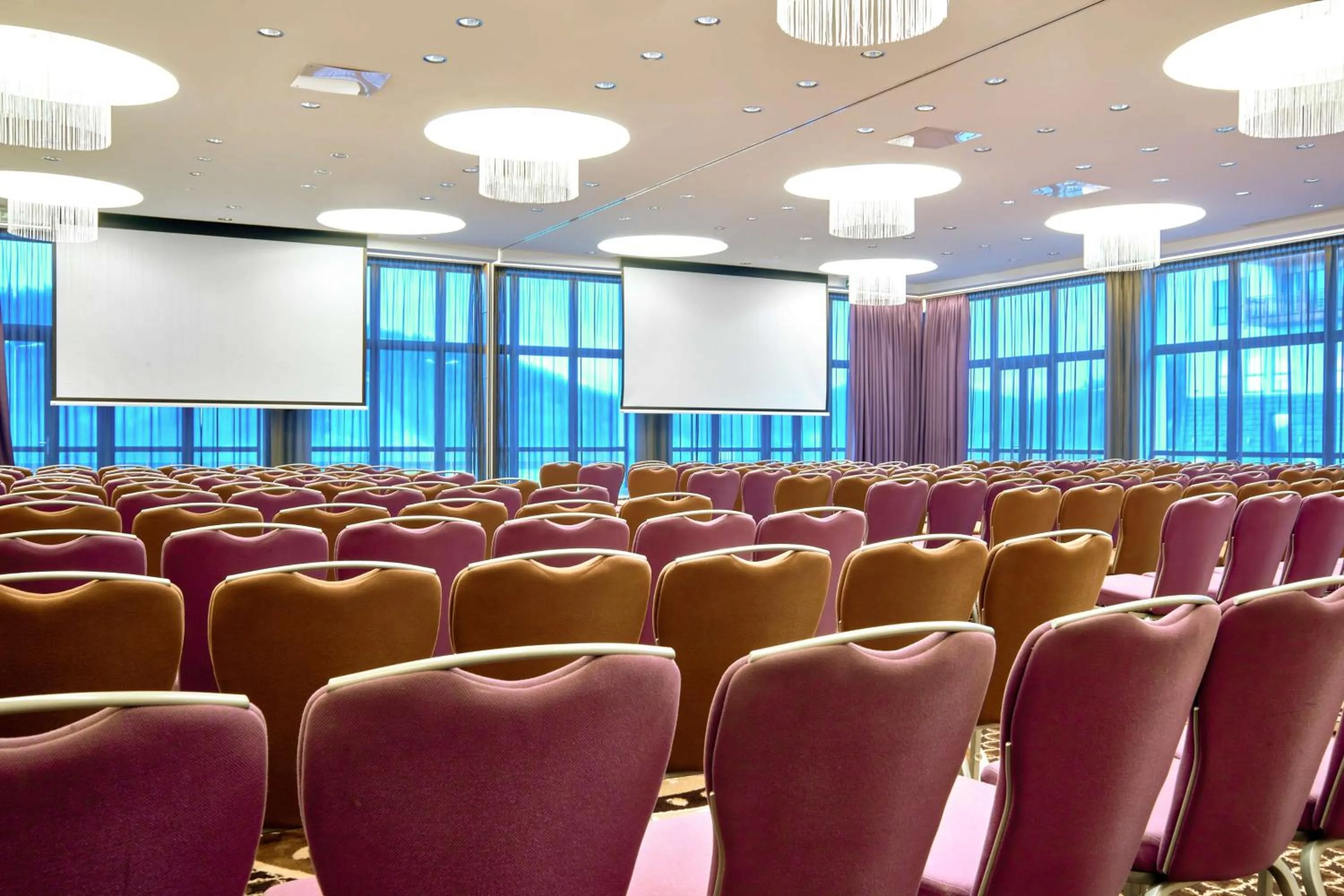Meeting/conference room in Radisson Blu Resort Bukovel