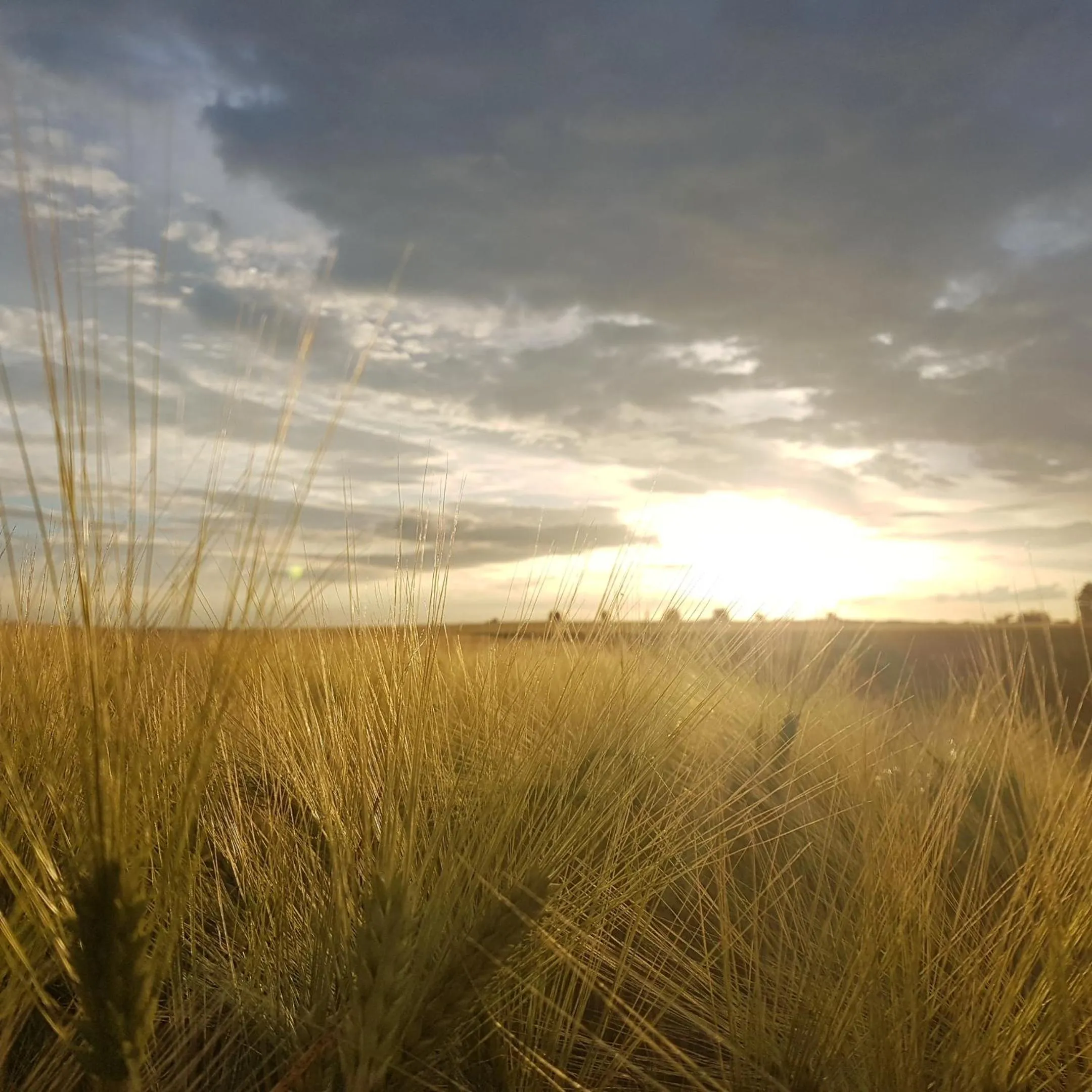 Natural landscape in Fonsegre Chambres d'Hôtes