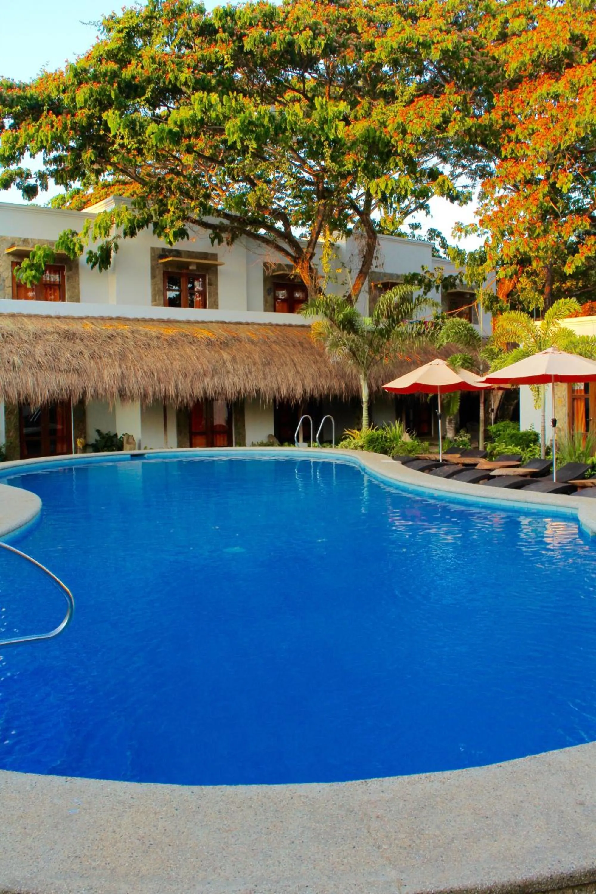 Day in Acacia Tree Garden Hotel