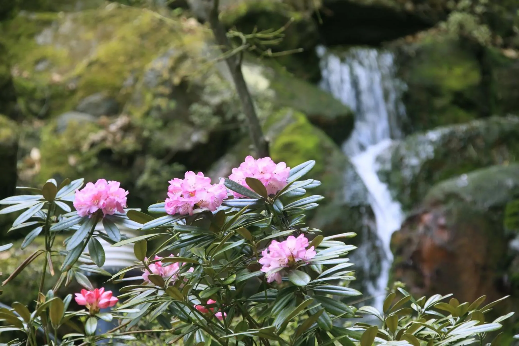 Property building in Naruko Fuga