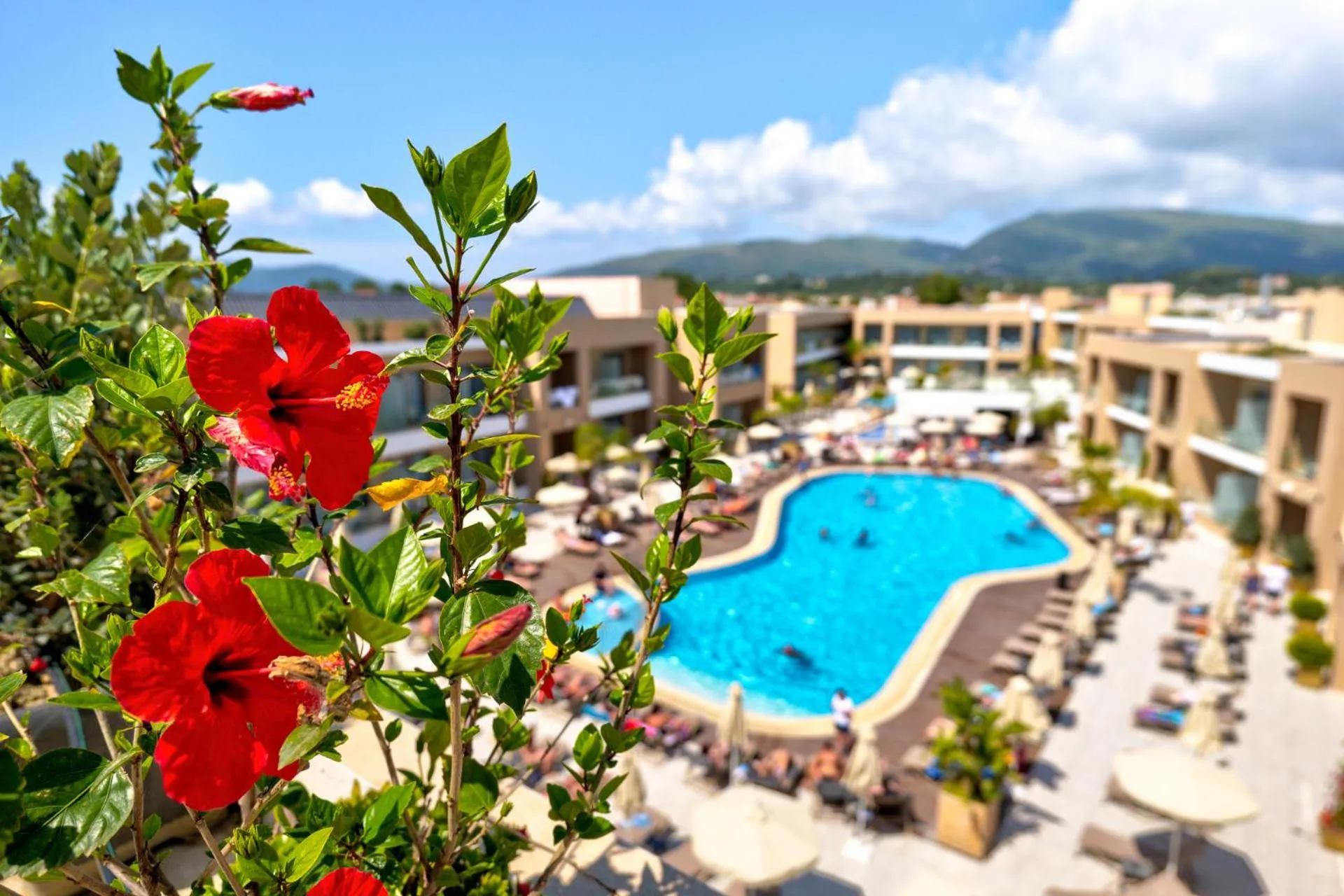 Pool view in White Olive Elite Laganas