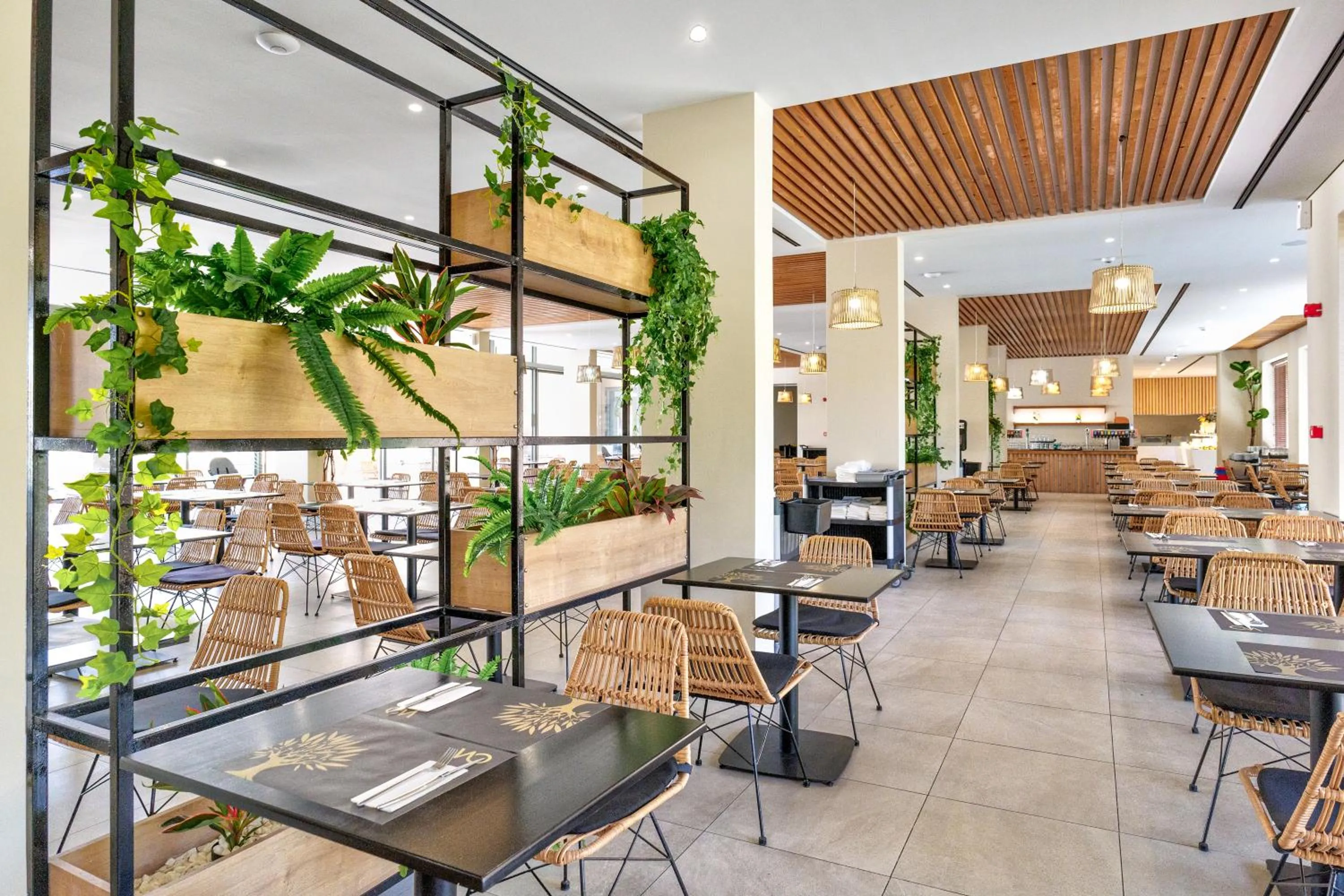 Restaurant/places to eat in White Olive Elite Laganas