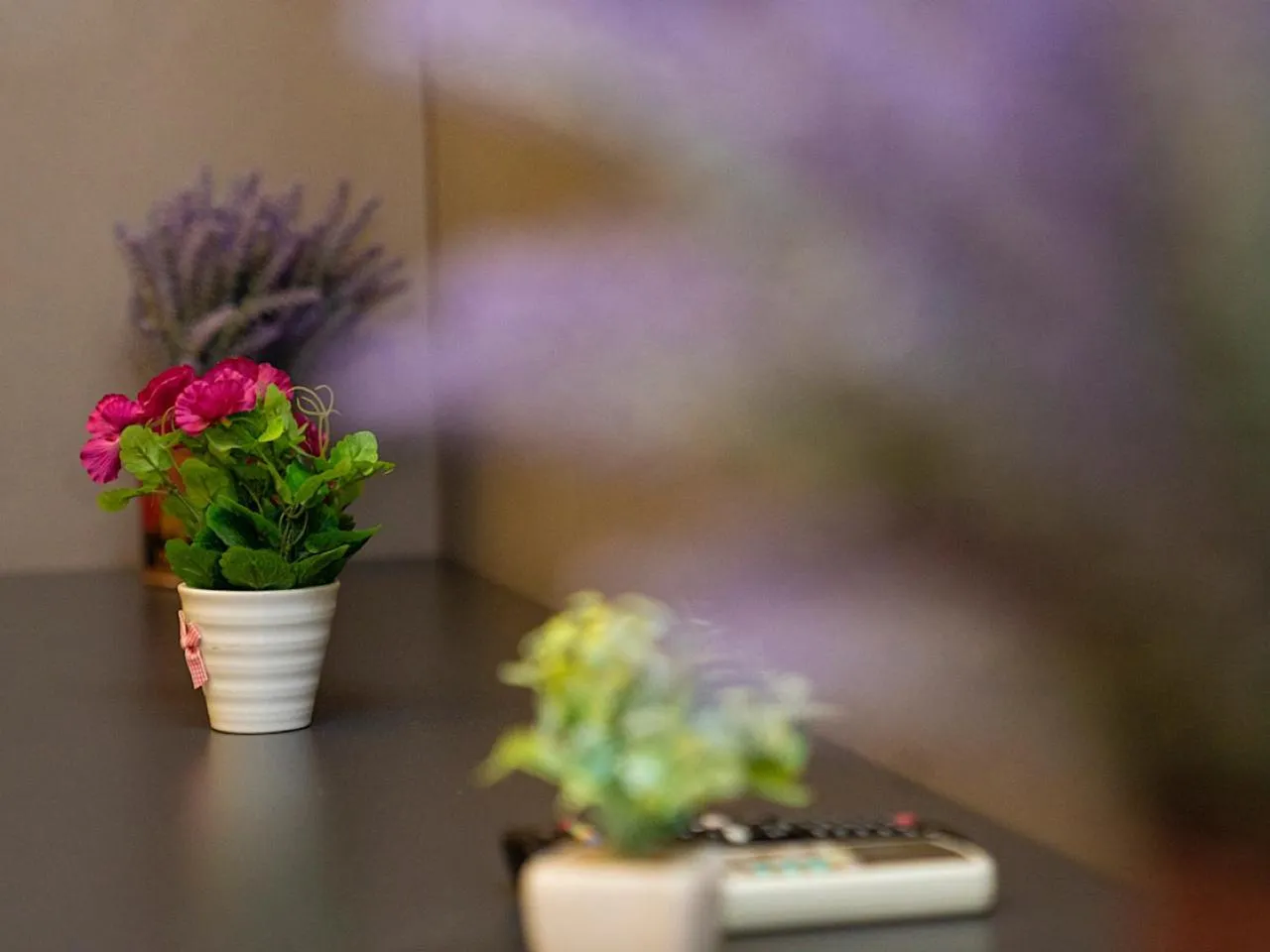 Property building in Hotel Vila Tirana