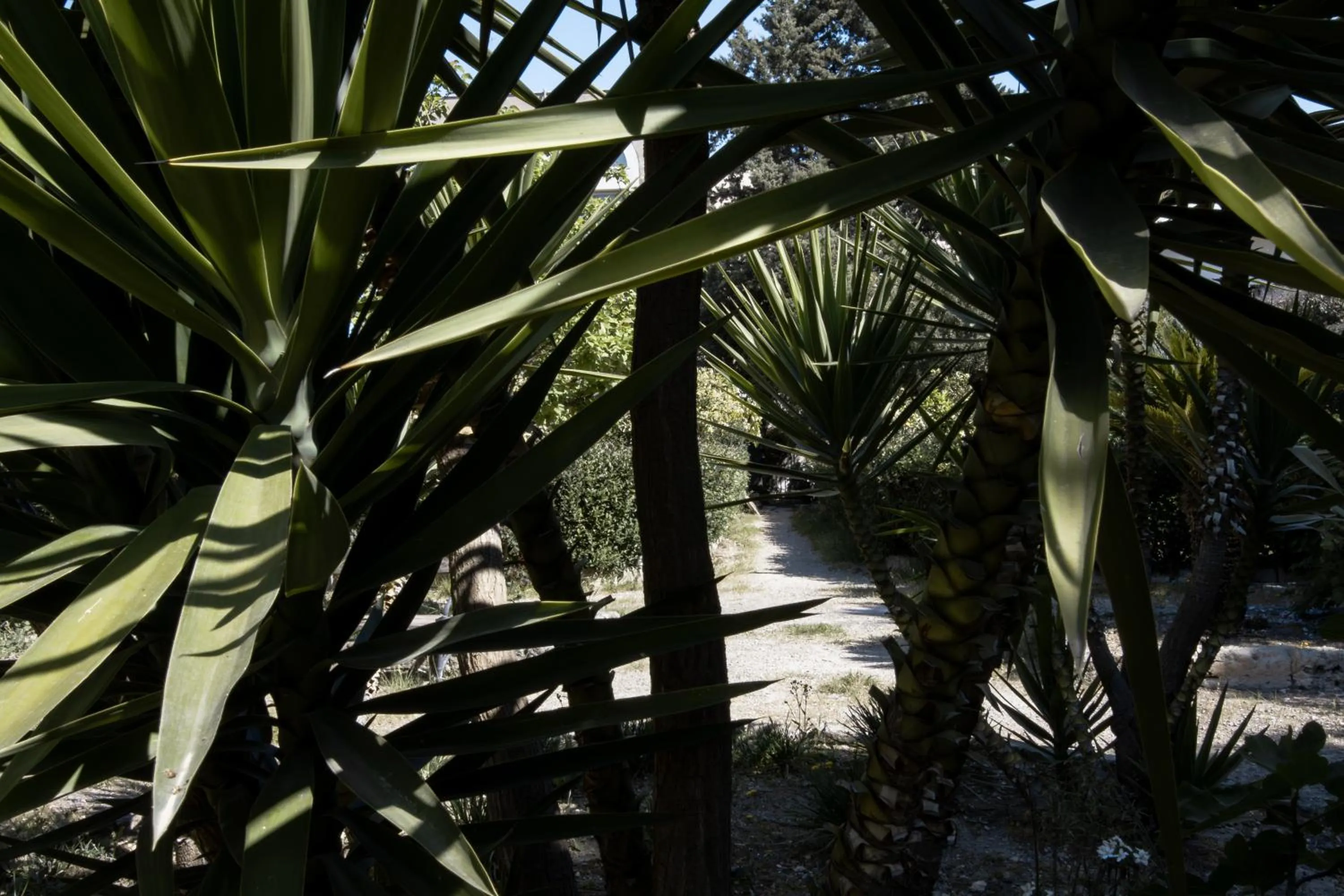 Garden in Le Tre Sorelle