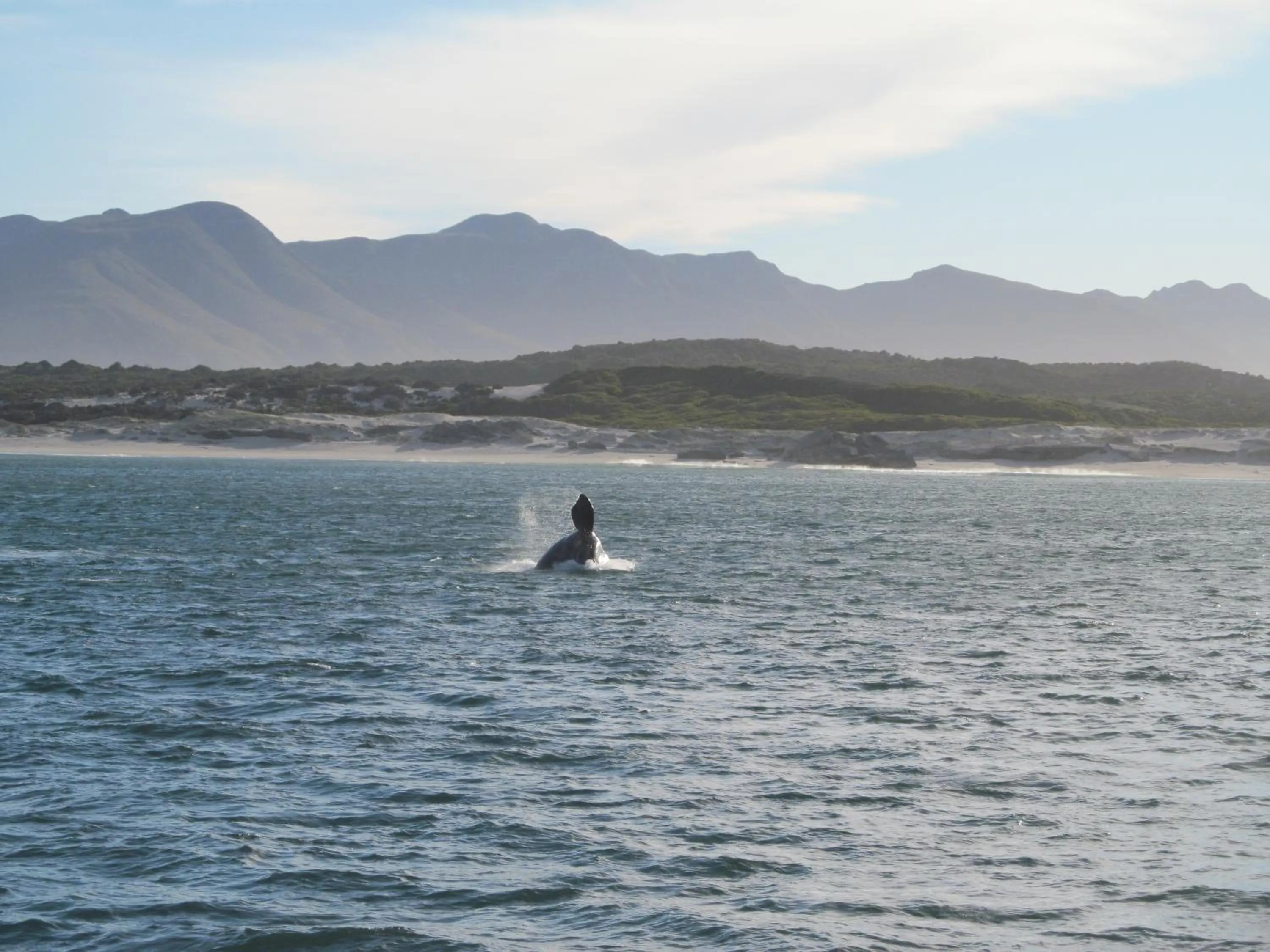 Activities in The Potting Shed Guest House