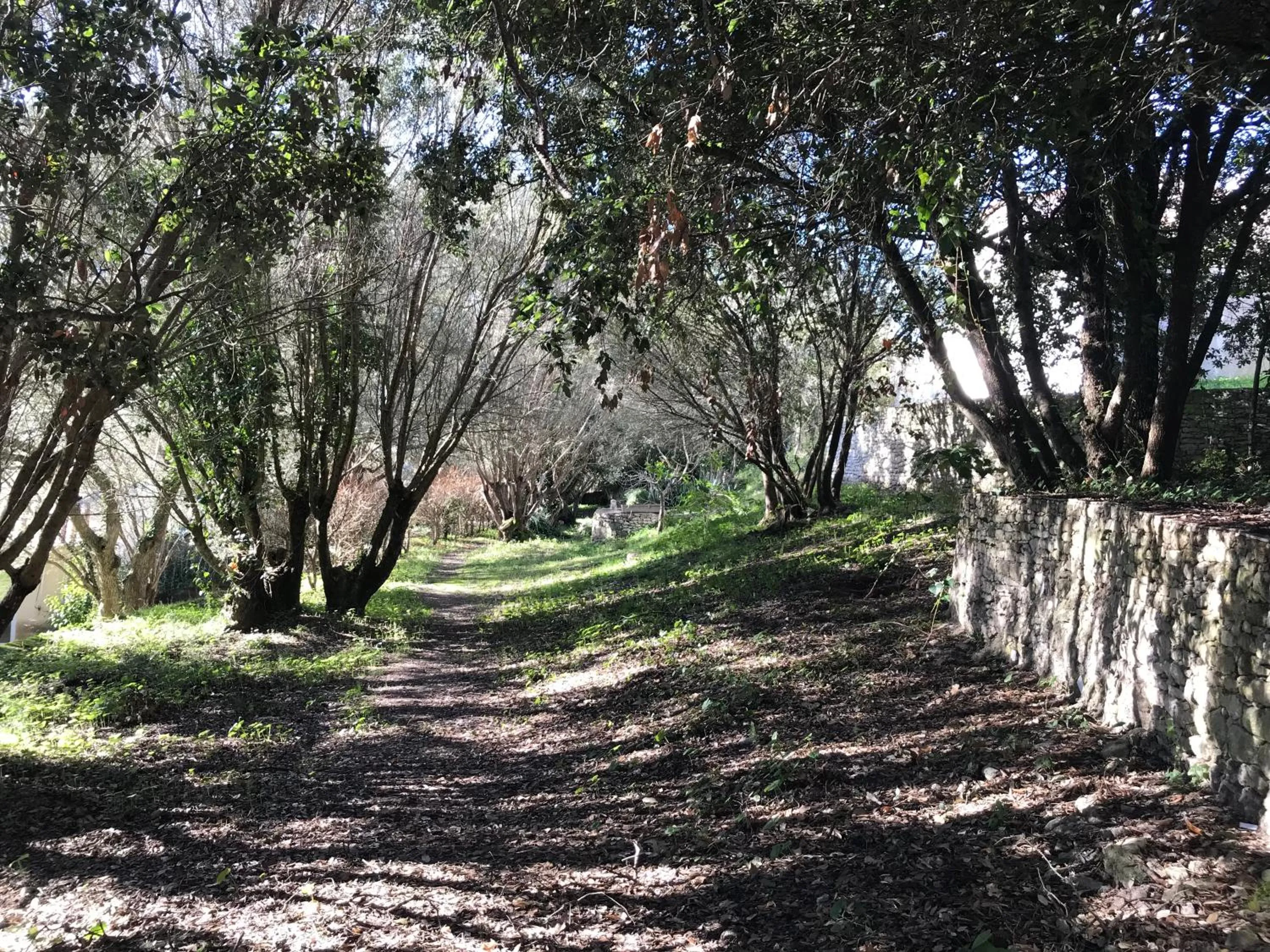 Garden in Résidence hôtelière A TRAMA