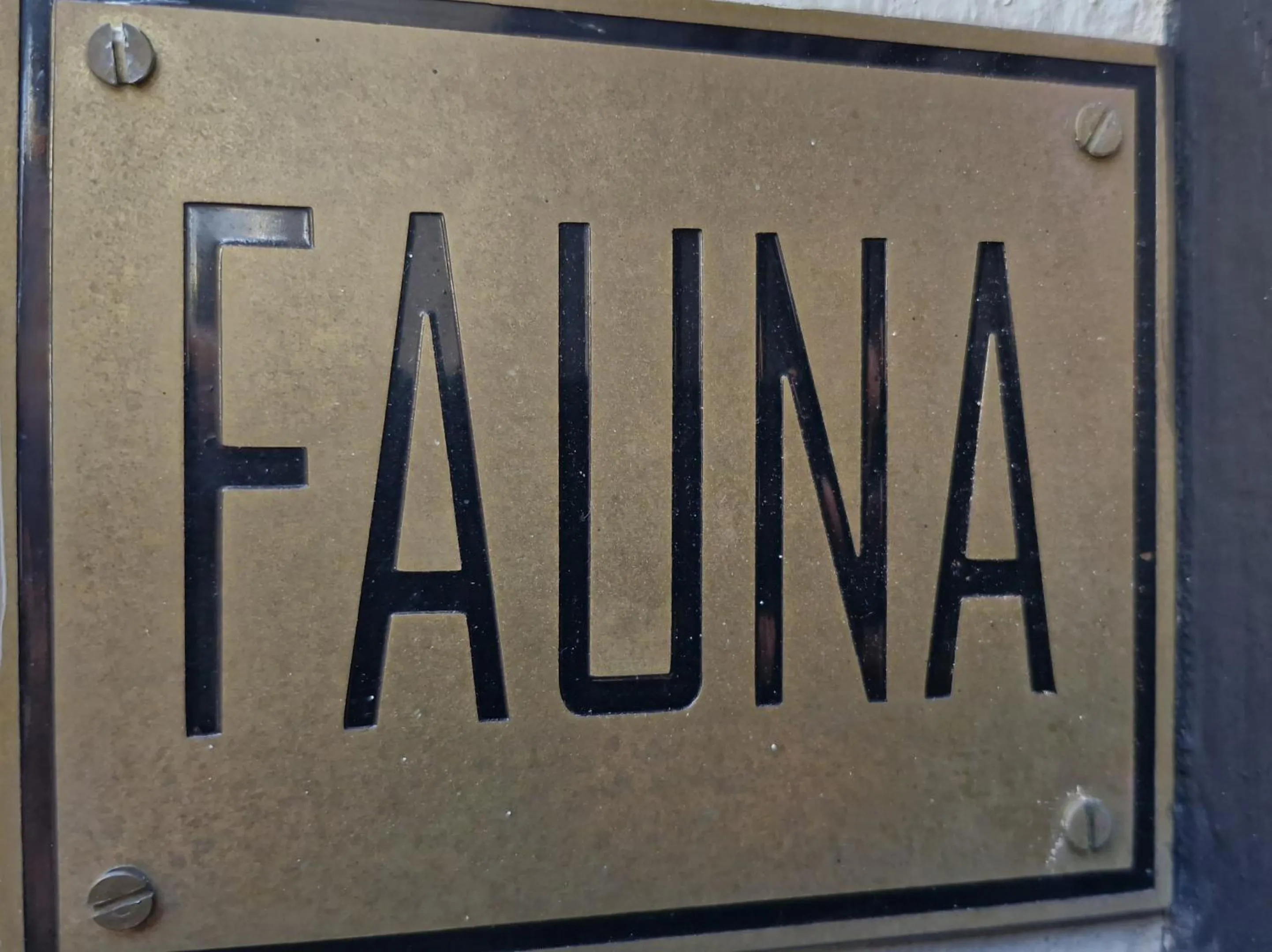 Property building in FAUNA Montevideo