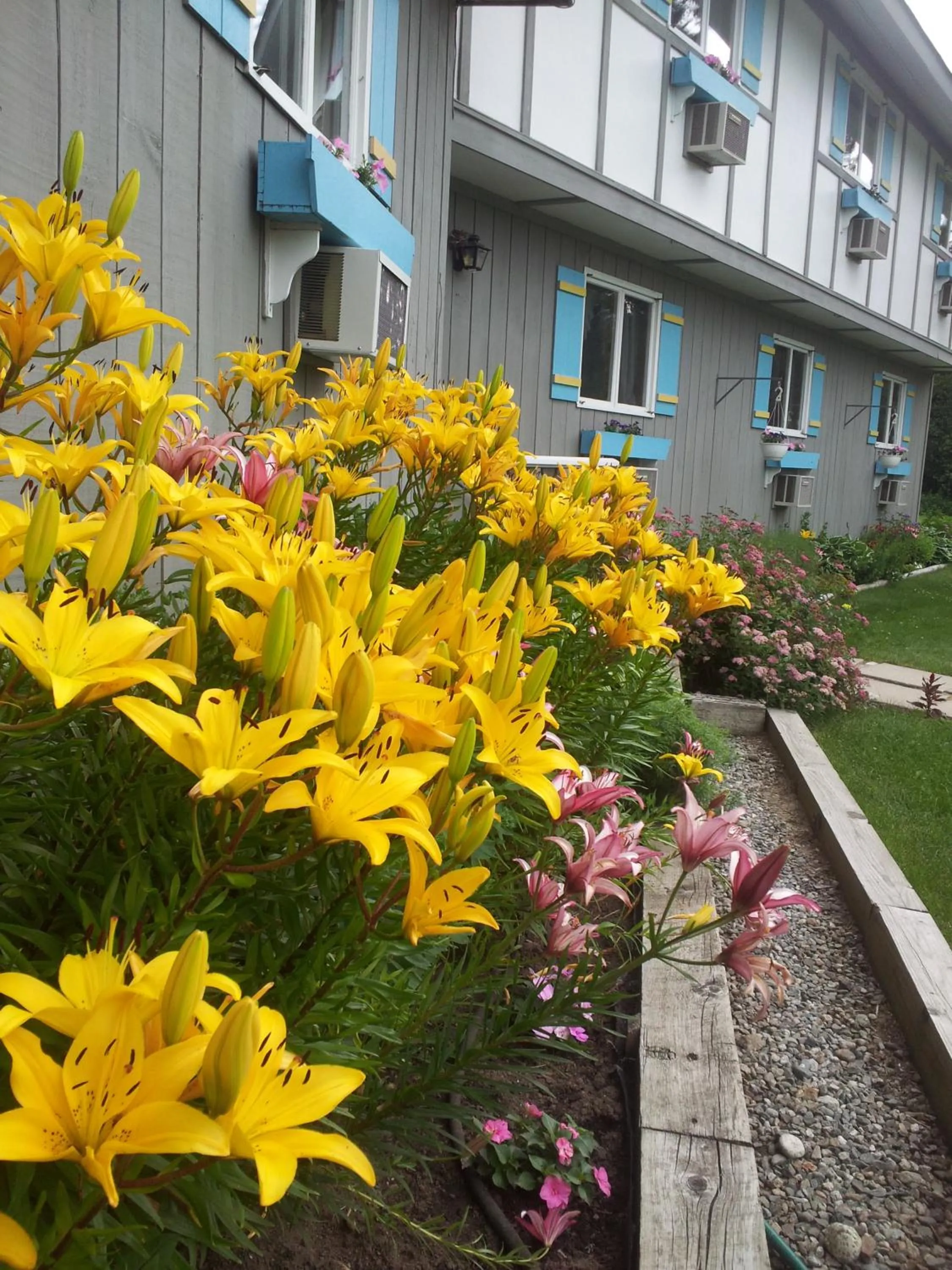 Facade/entrance in Carlson's Lodge