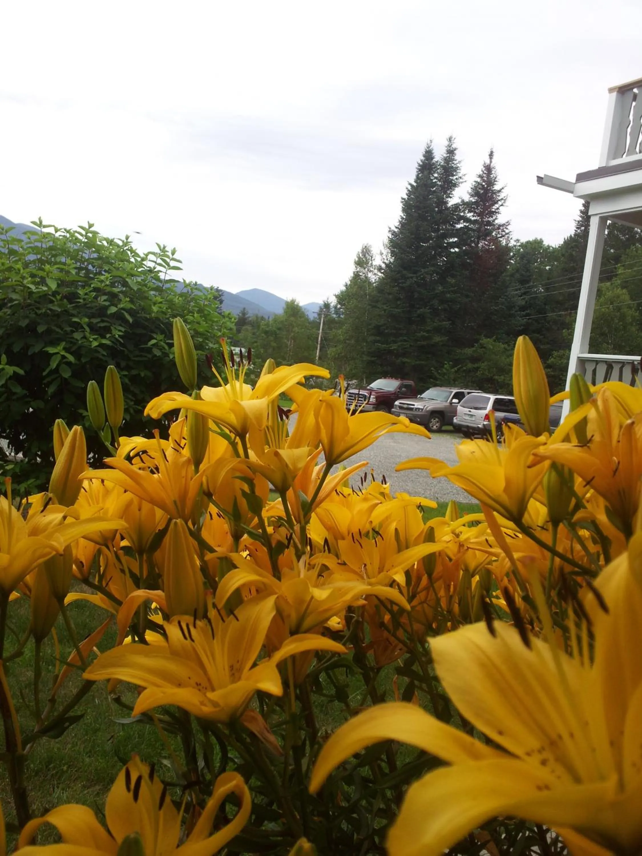 Garden in Carlson's Lodge