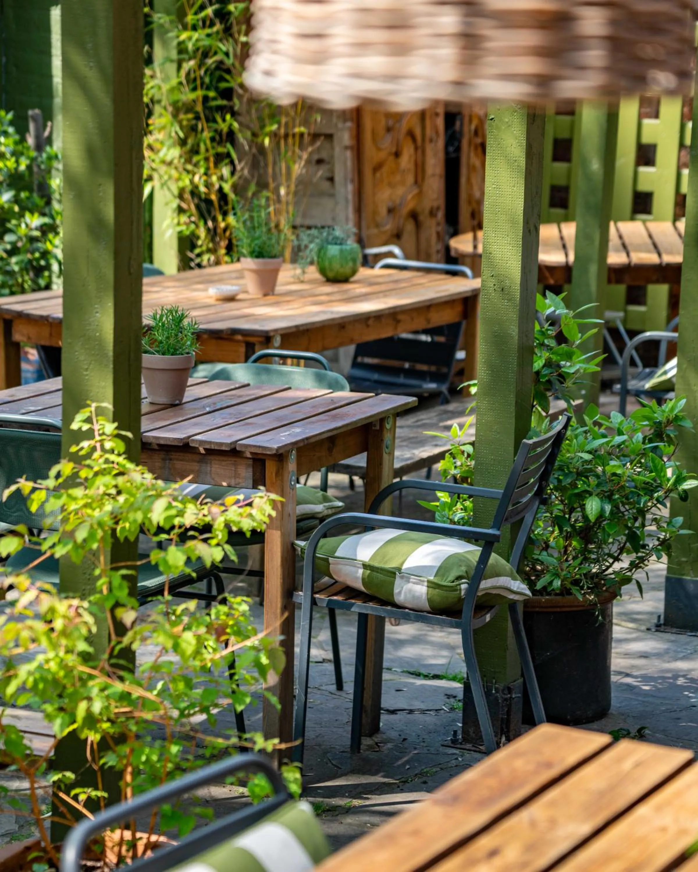 Garden in The William