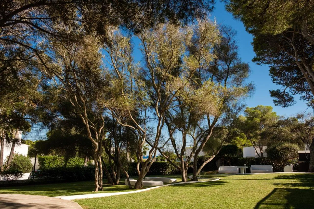 Hotel Cala Dor - Adults Only