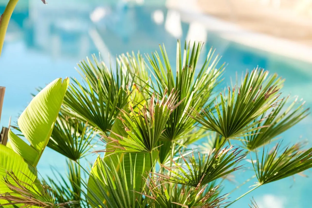 Hotel Cala Dor - Adults Only