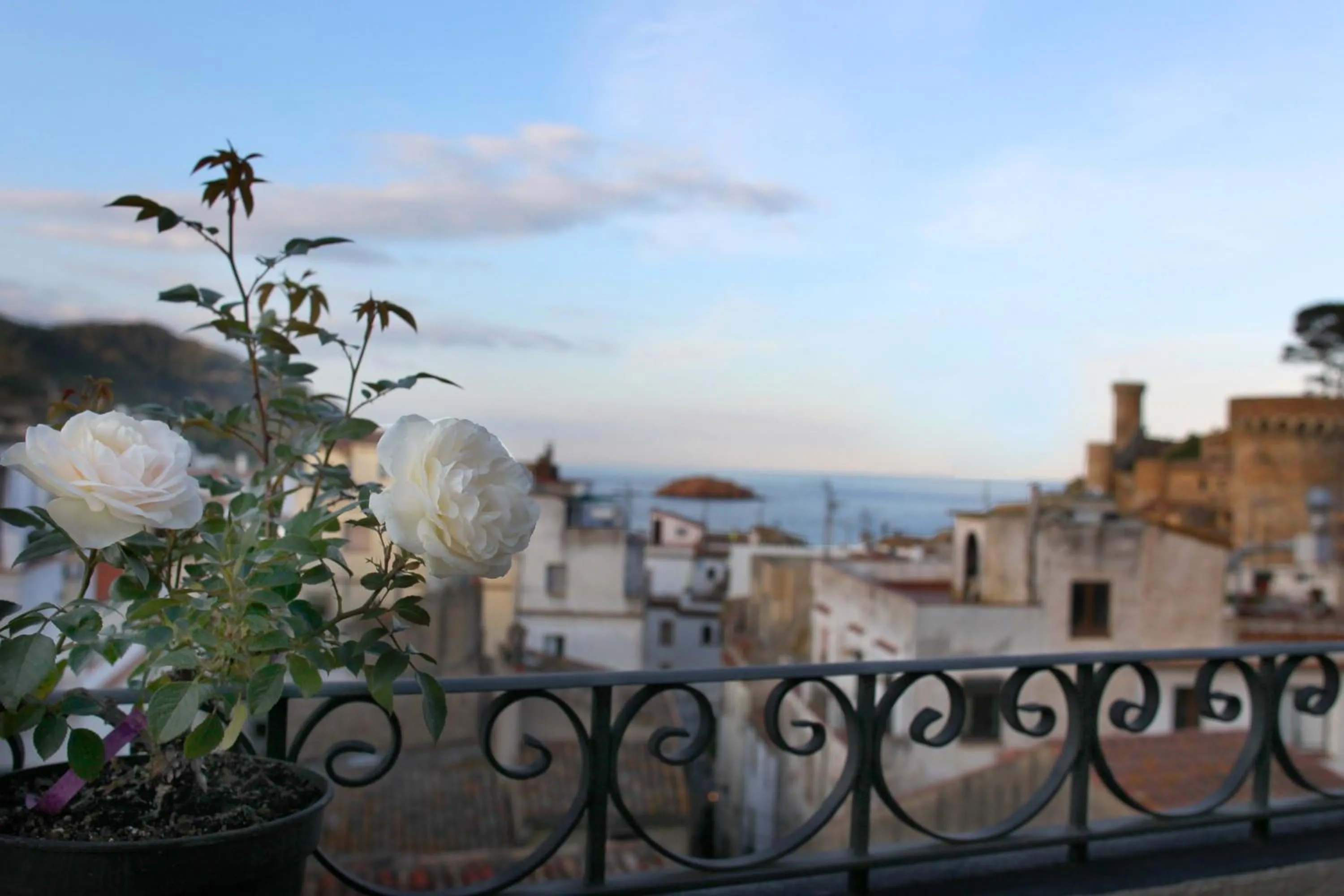 View (from property/room) in Boutique Hotel Casa Granados
