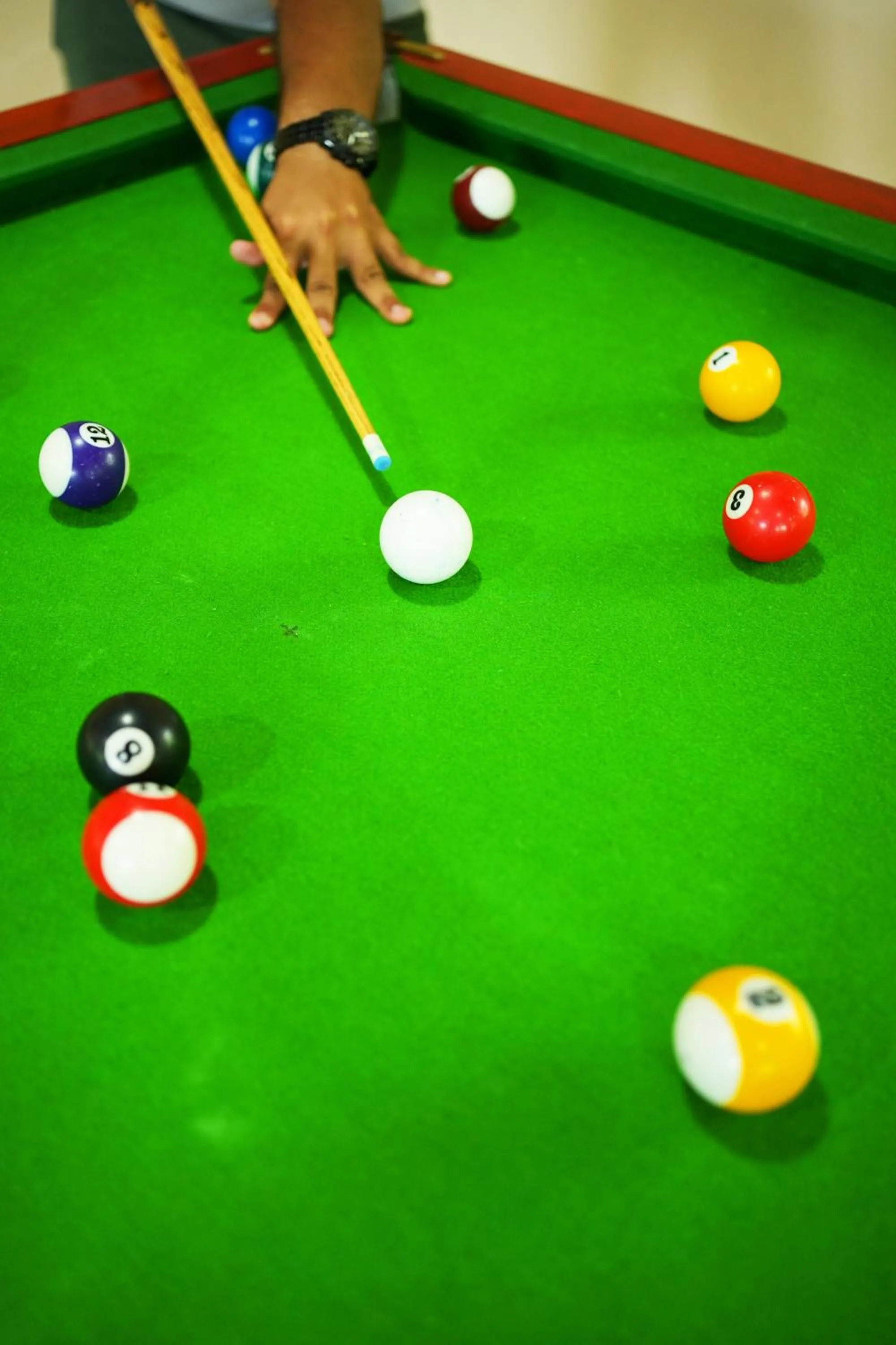 Game Room in Olive Resort - Sillari Pench