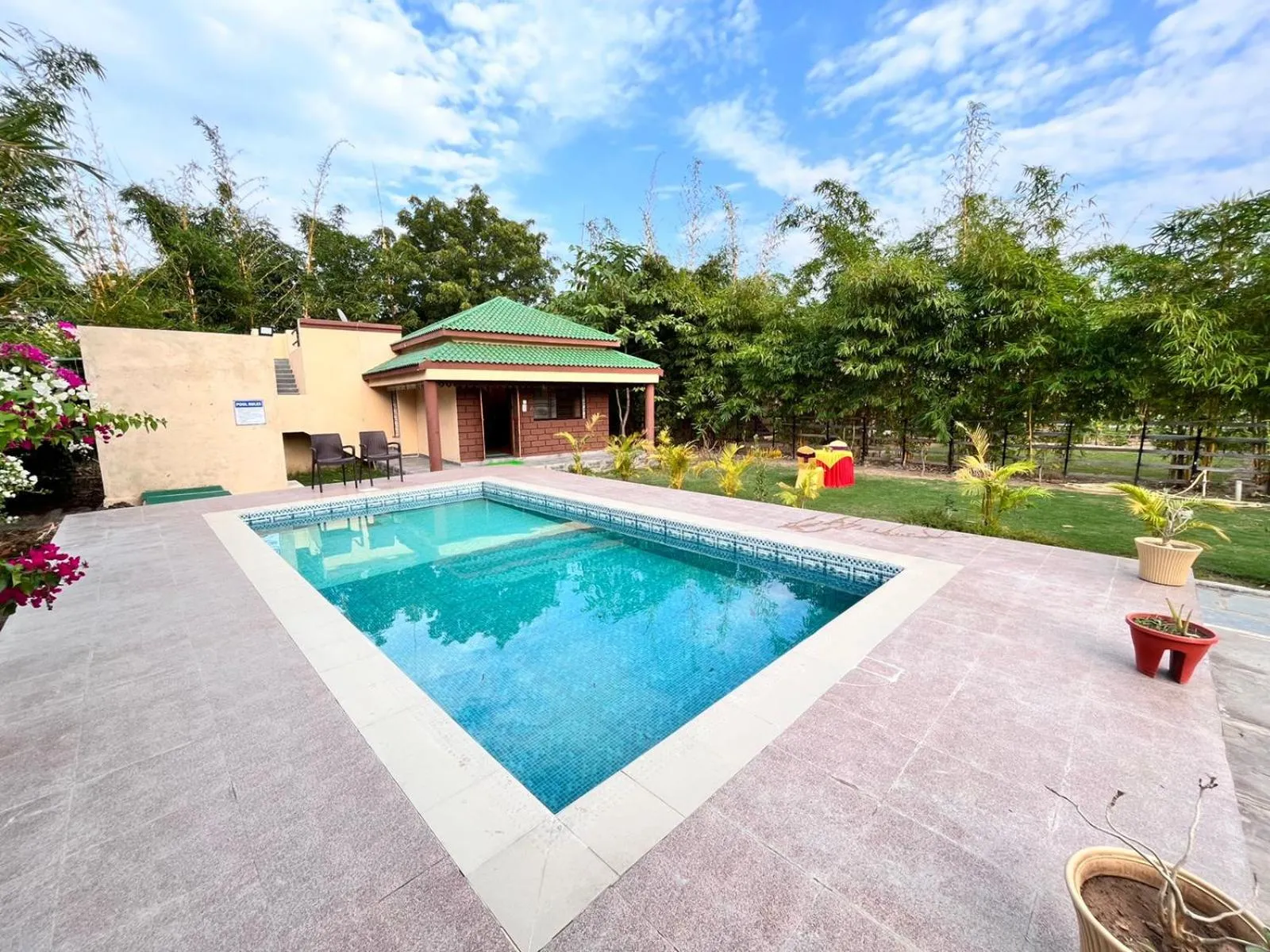 Swimming pool in Olive Resort - Sillari Pench