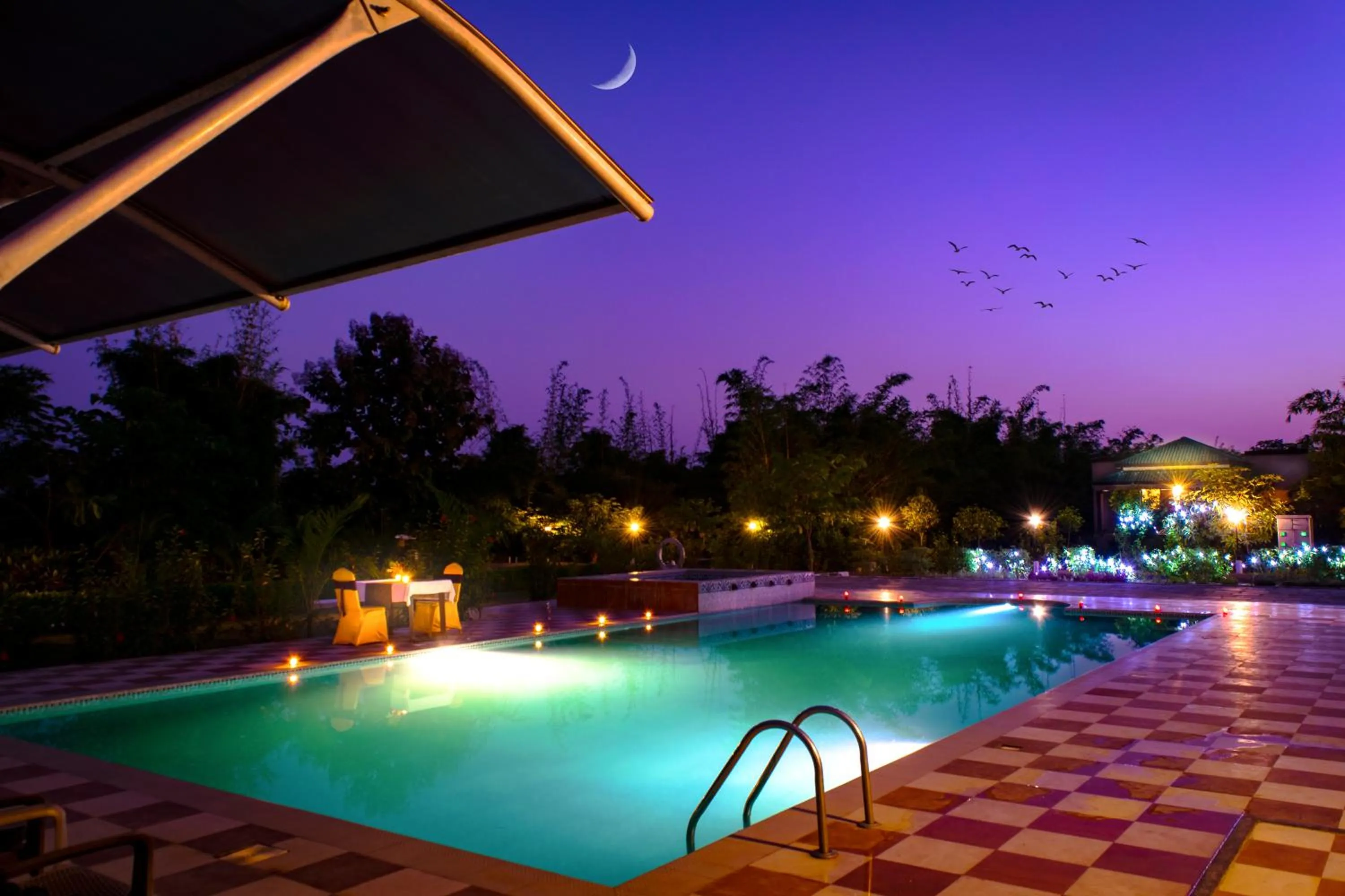 Swimming pool in Olive Resort - Sillari Pench