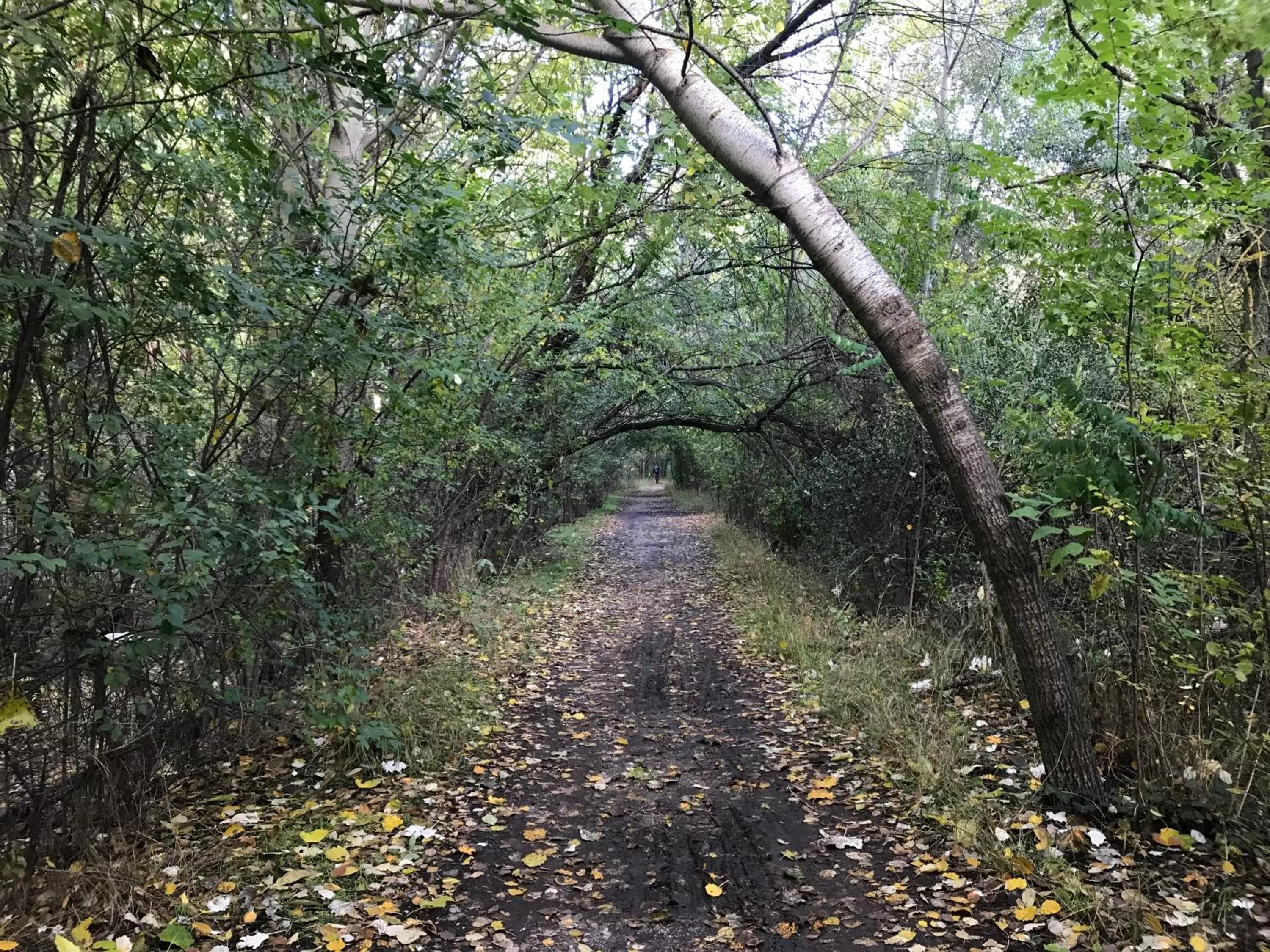 Apartamentos Duquesa Sierra Nevada