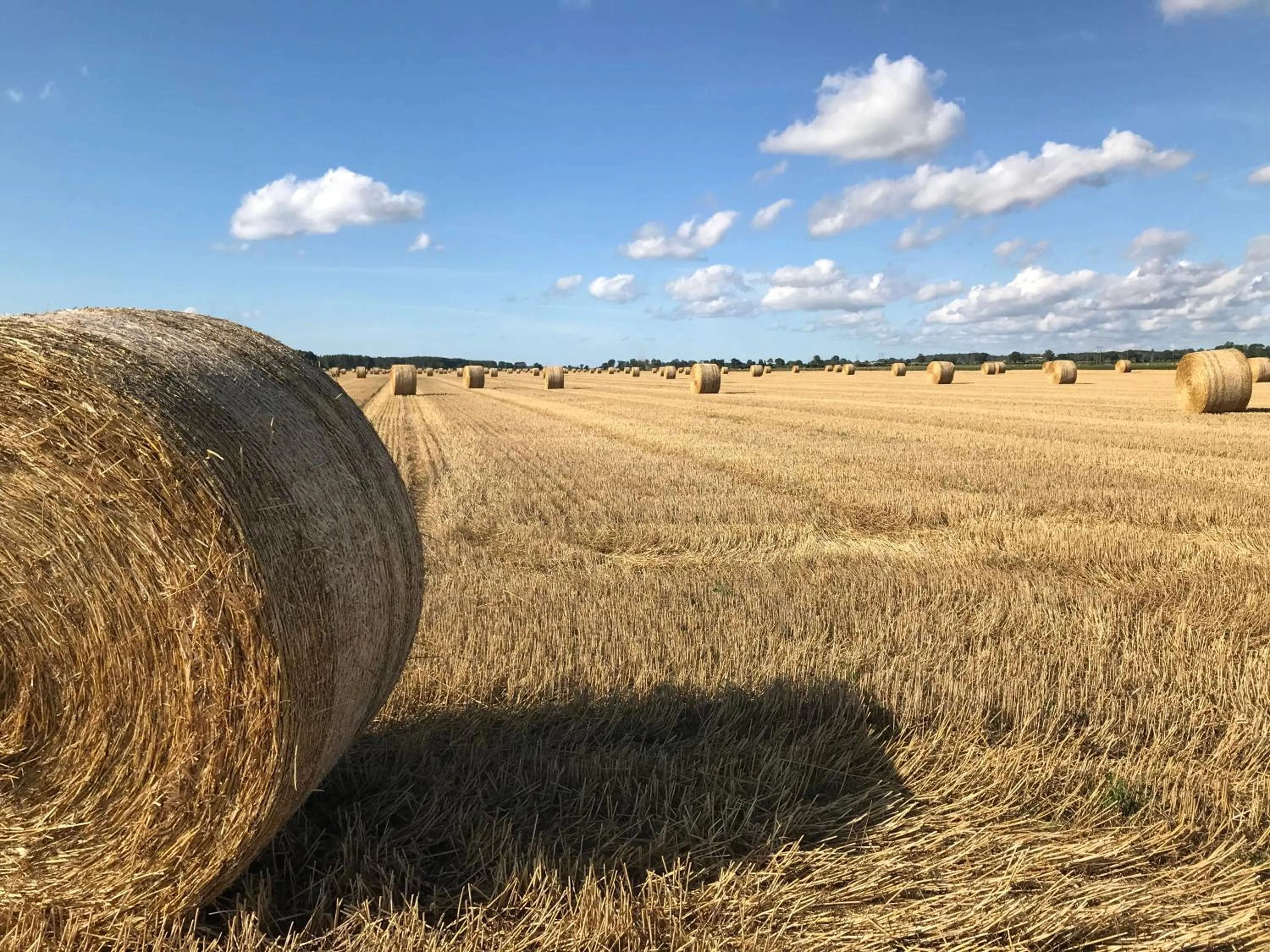 Off site in Hotell Magasin 1