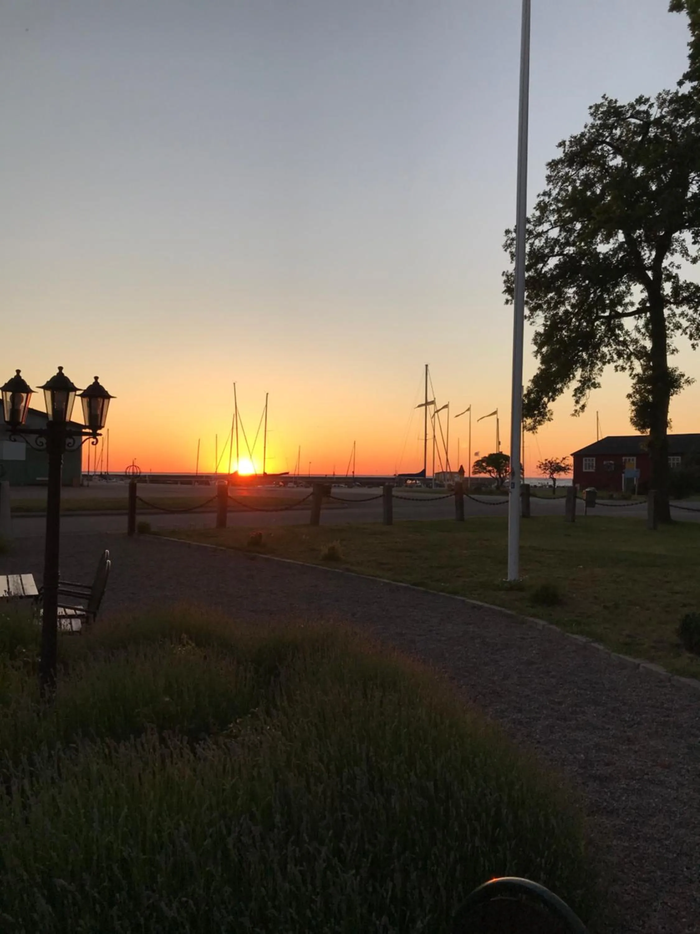 Garden in Hotell Magasin 1