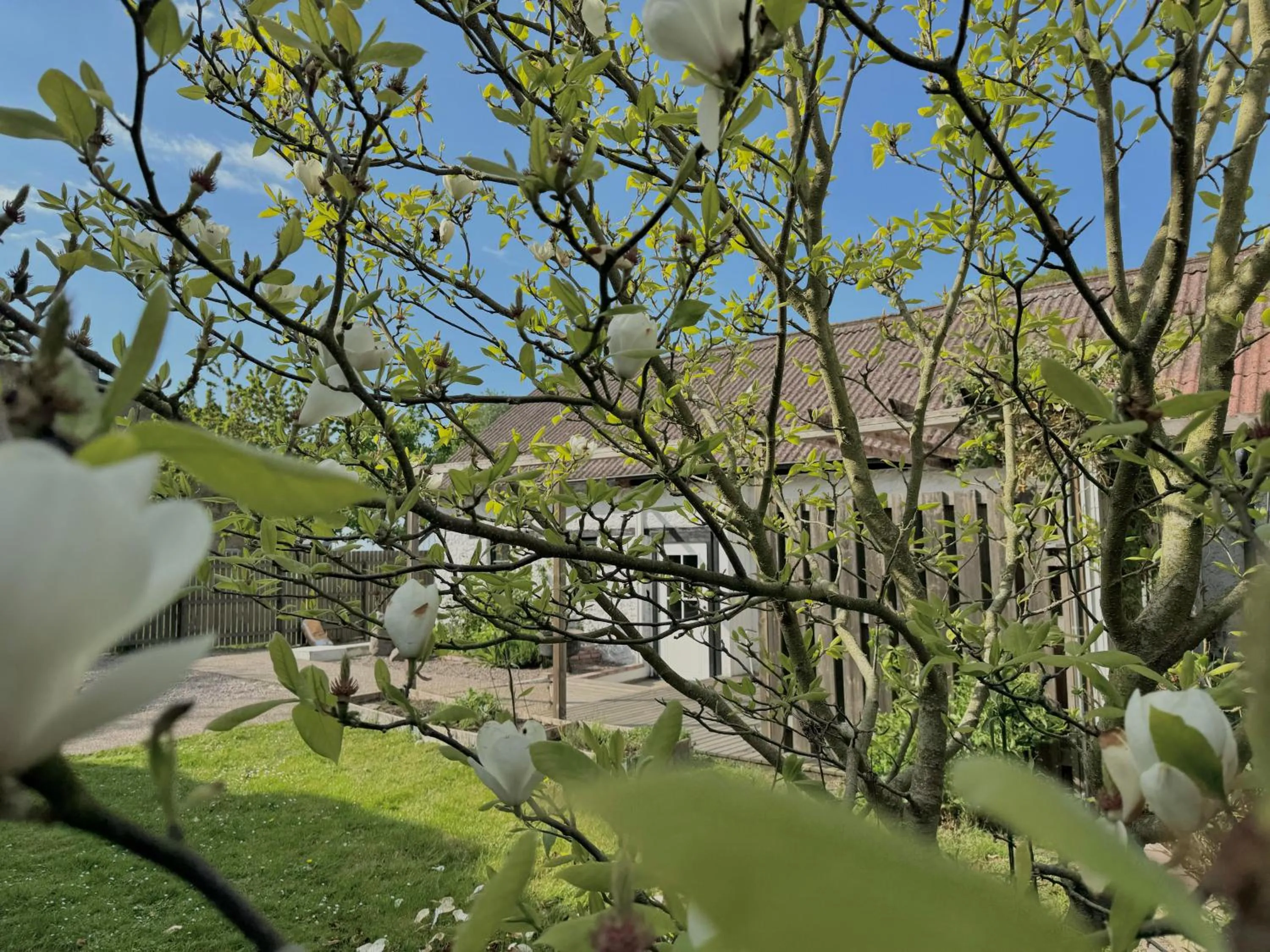 Spring in Hotell Magasin 1