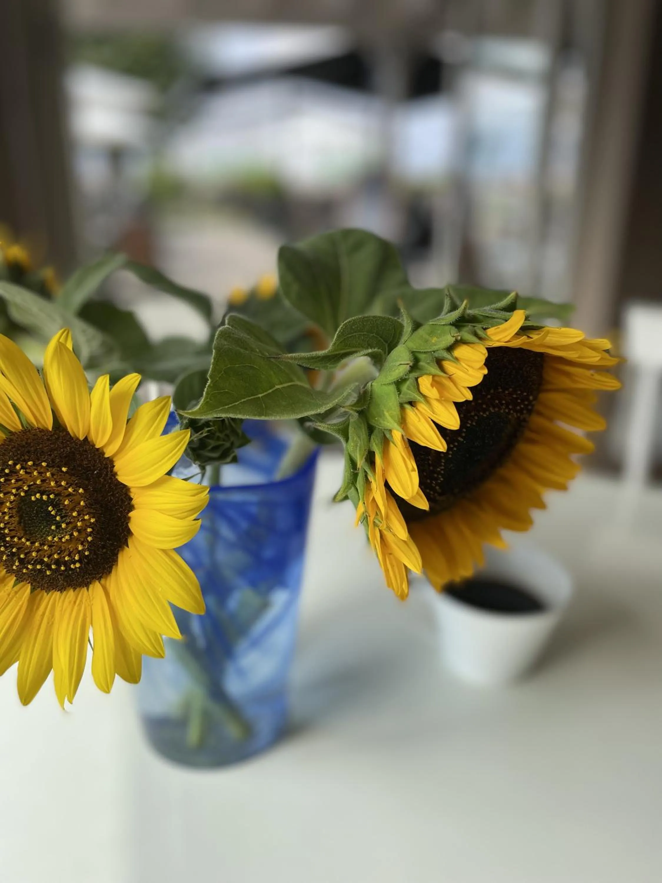 Restaurant/places to eat in Hotell Magasin 1