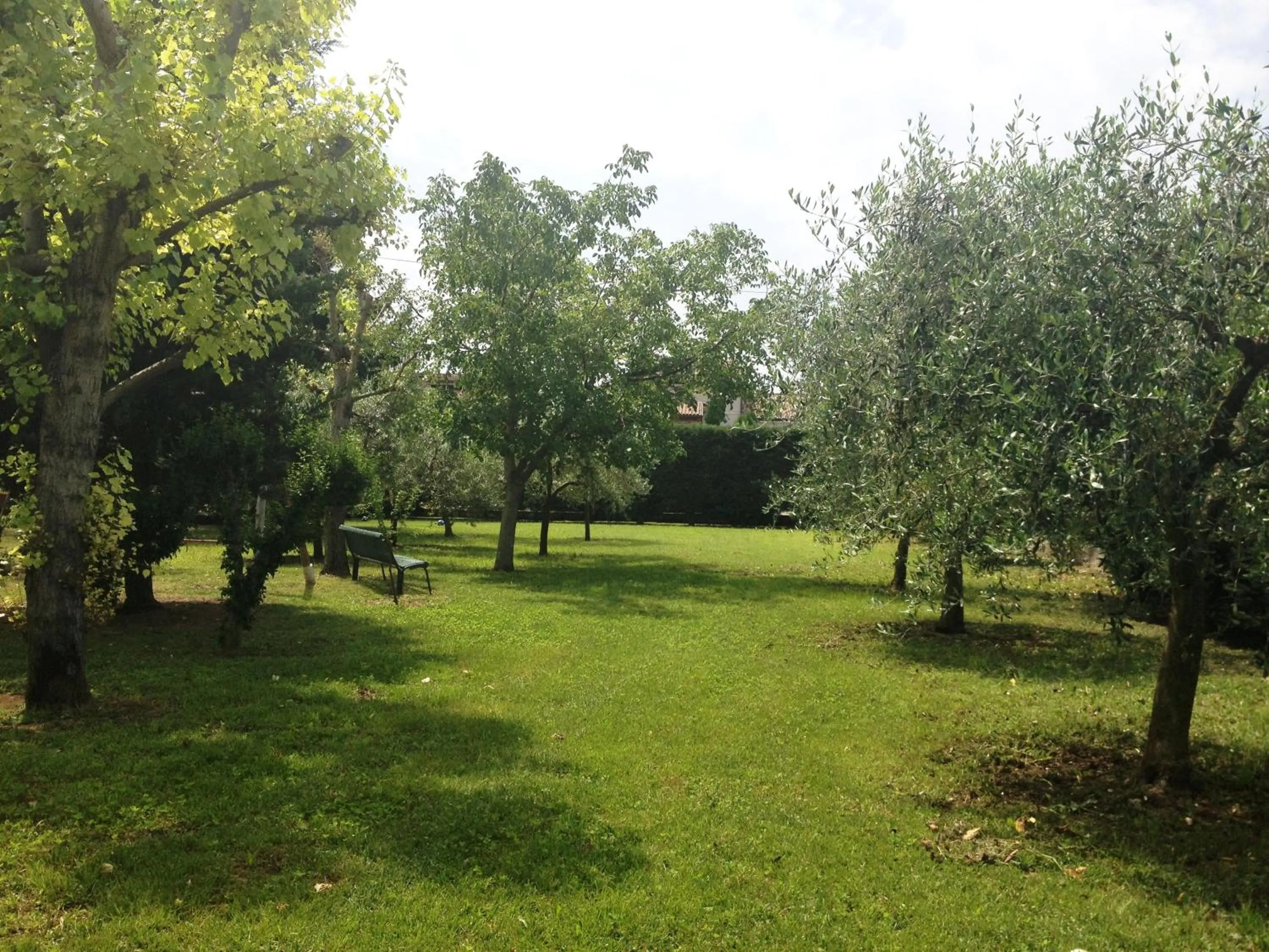 Garden in Girelli Sorelle