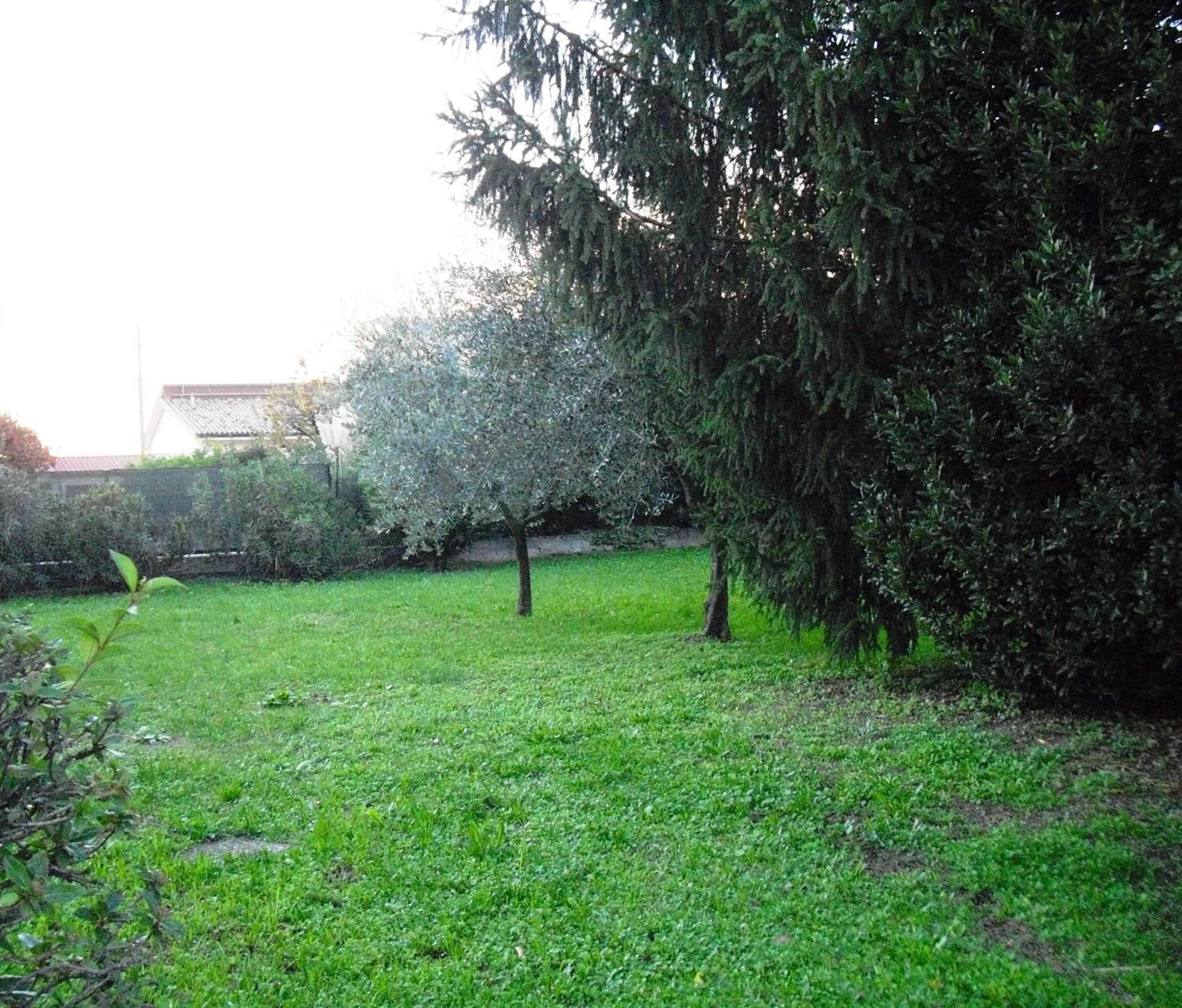 Garden in Girelli Sorelle