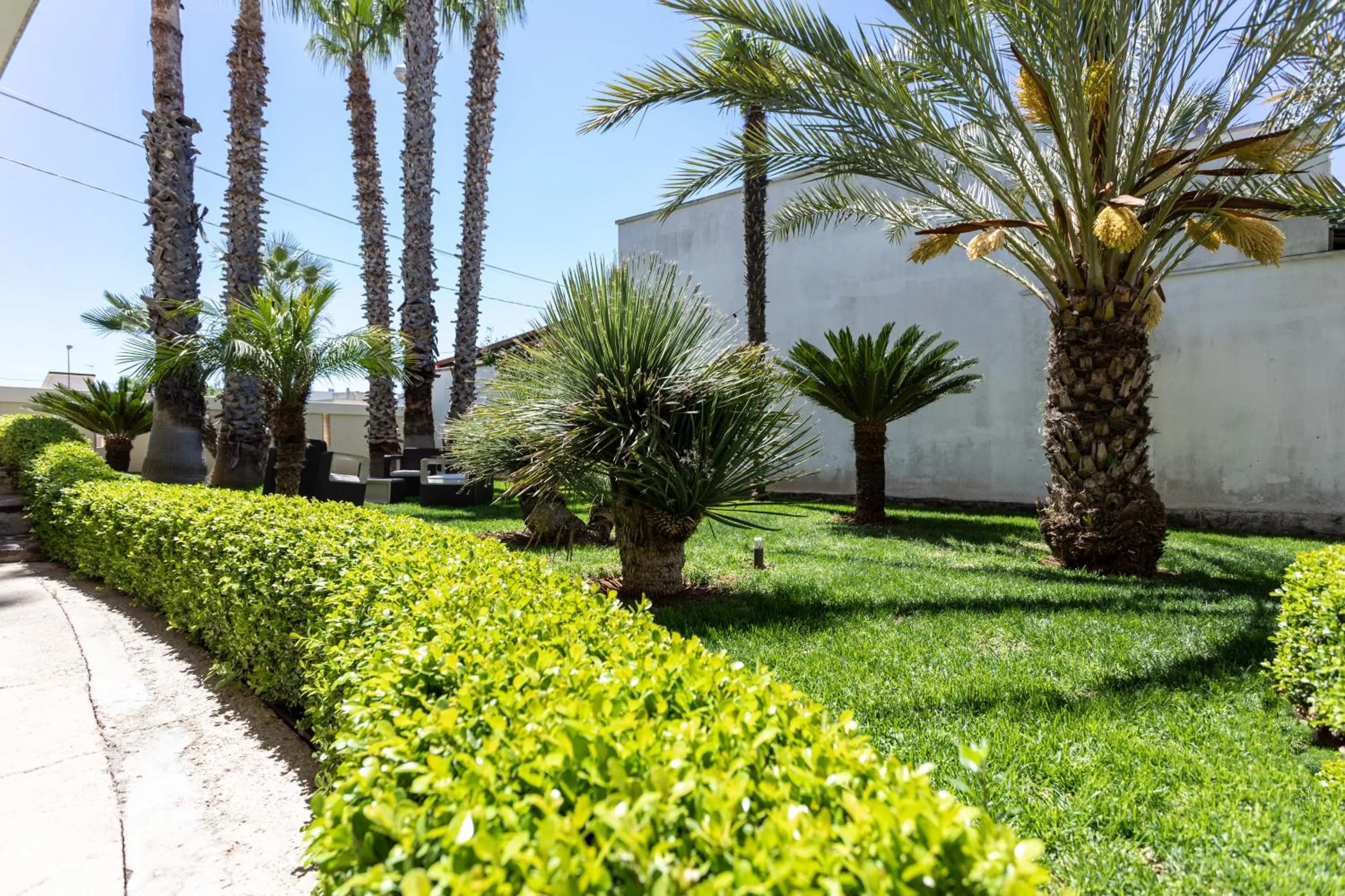 Garden in B&B Domus Japigia