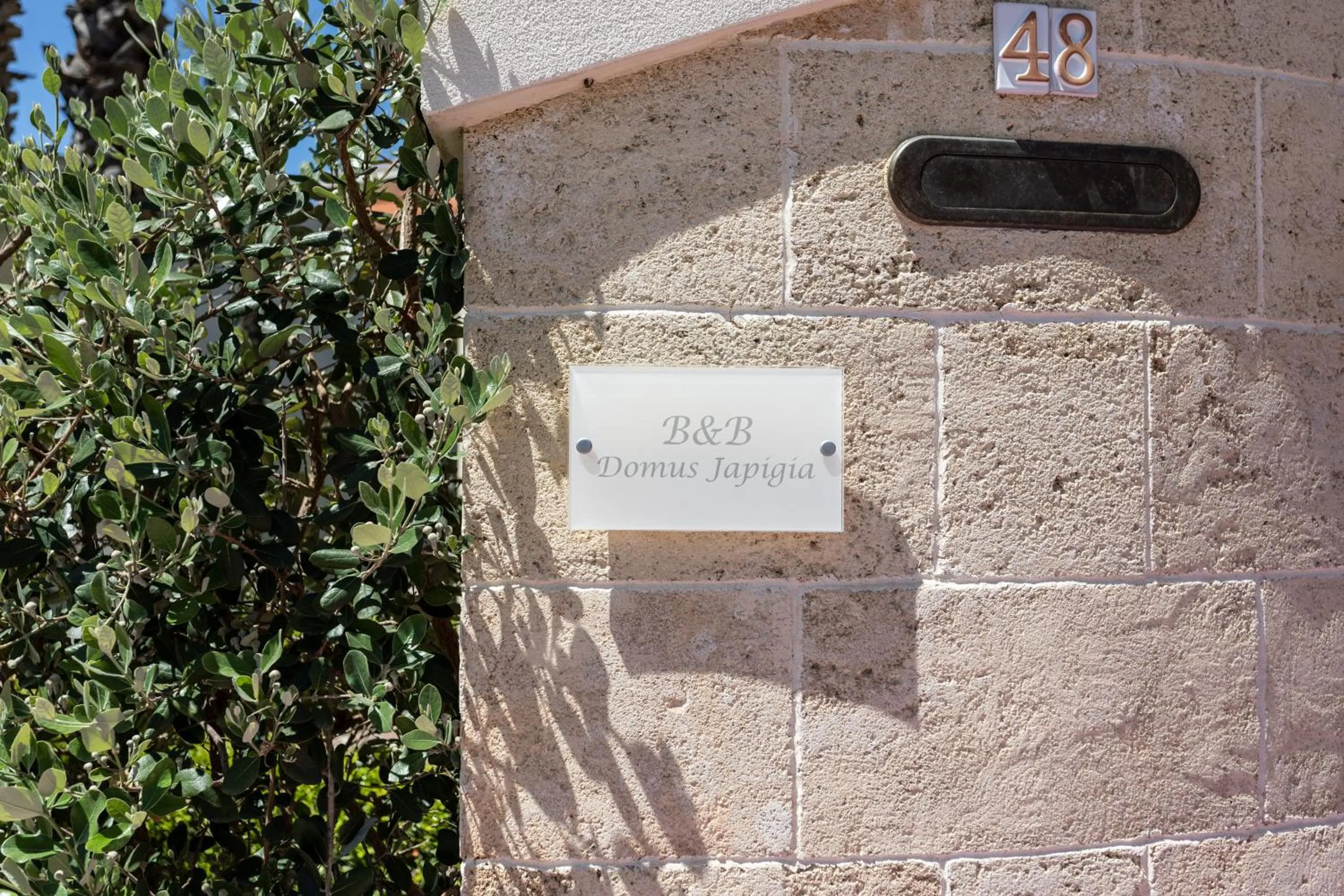 Decorative detail in B&B Domus Japigia