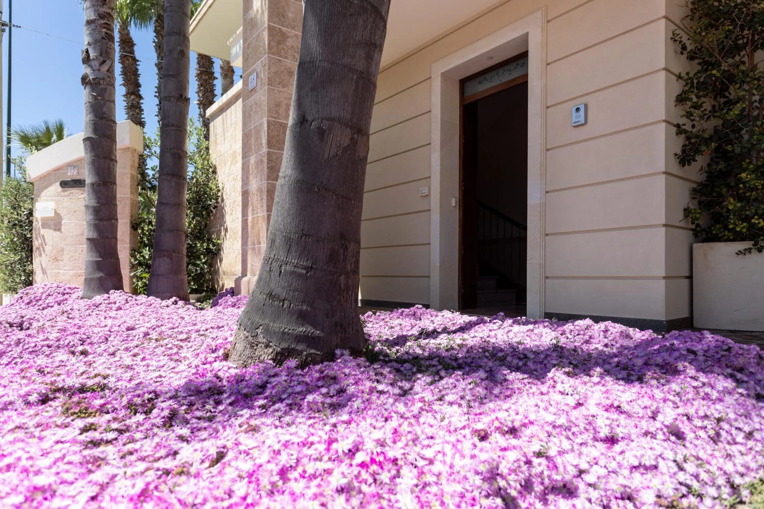 Facade/entrance in B&B Domus Japigia